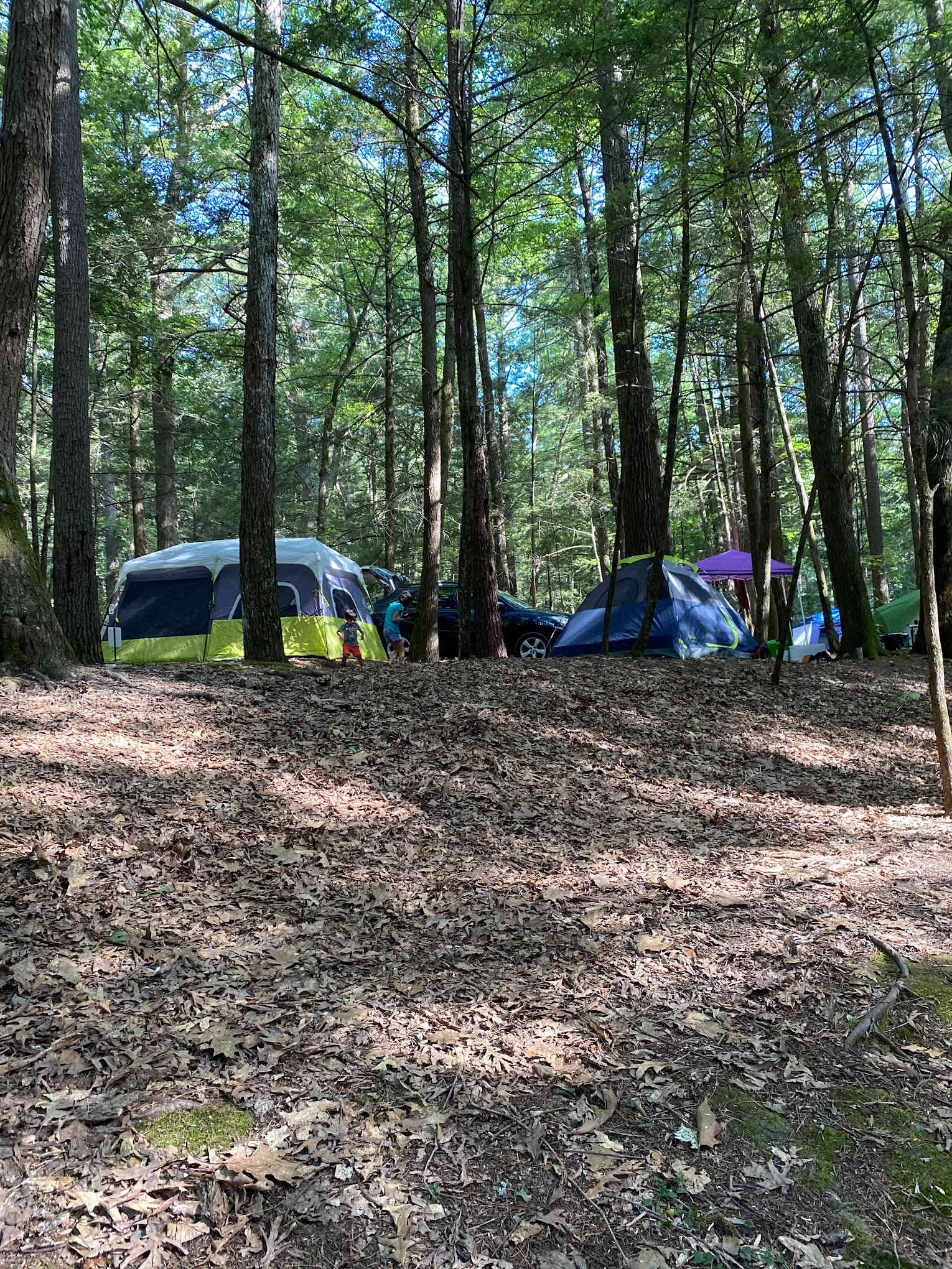 Rip Van Winkle Campground