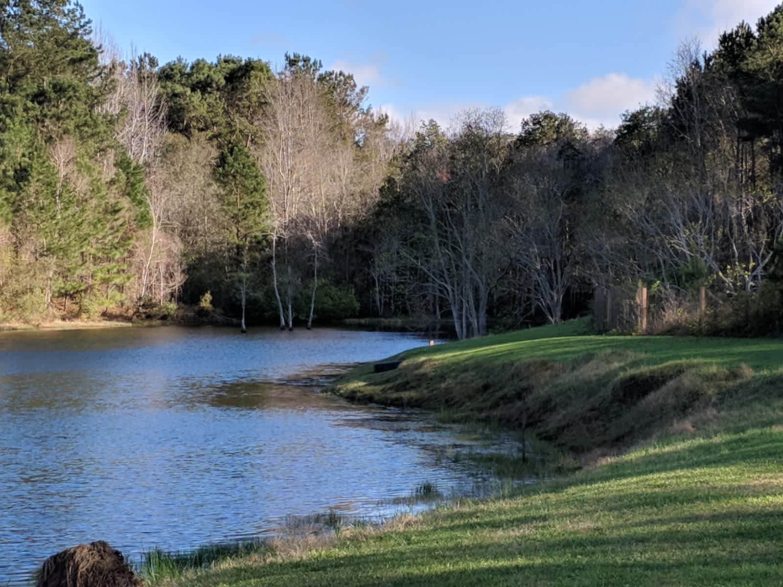 Jellystone Park Gulf Coast