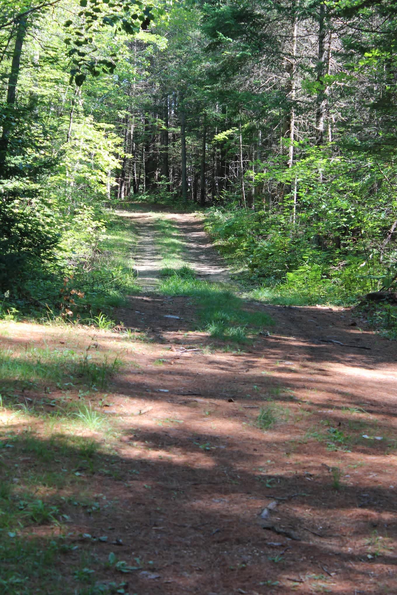 Paul Bunyan Campground