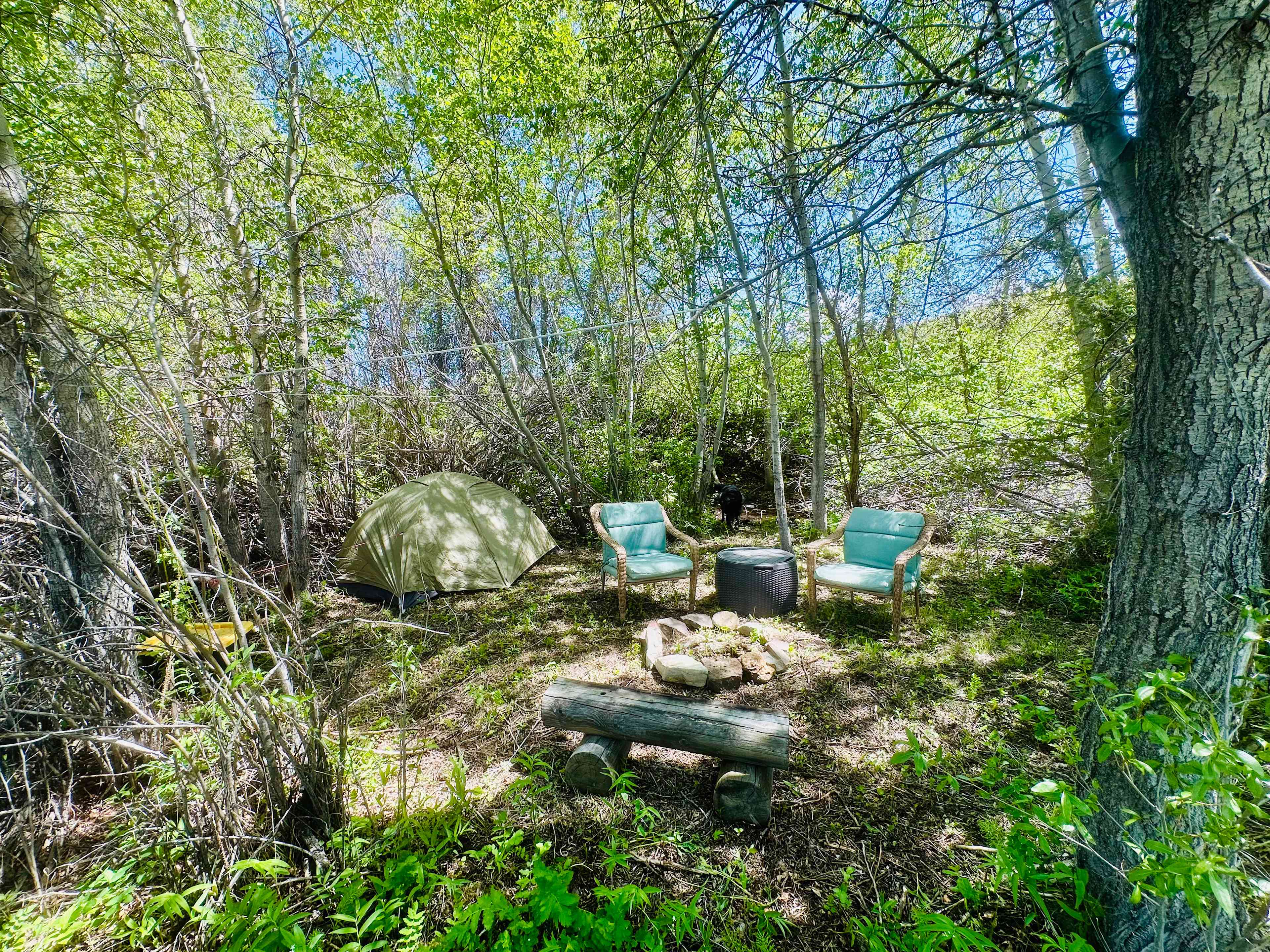 Miner Creek Campground