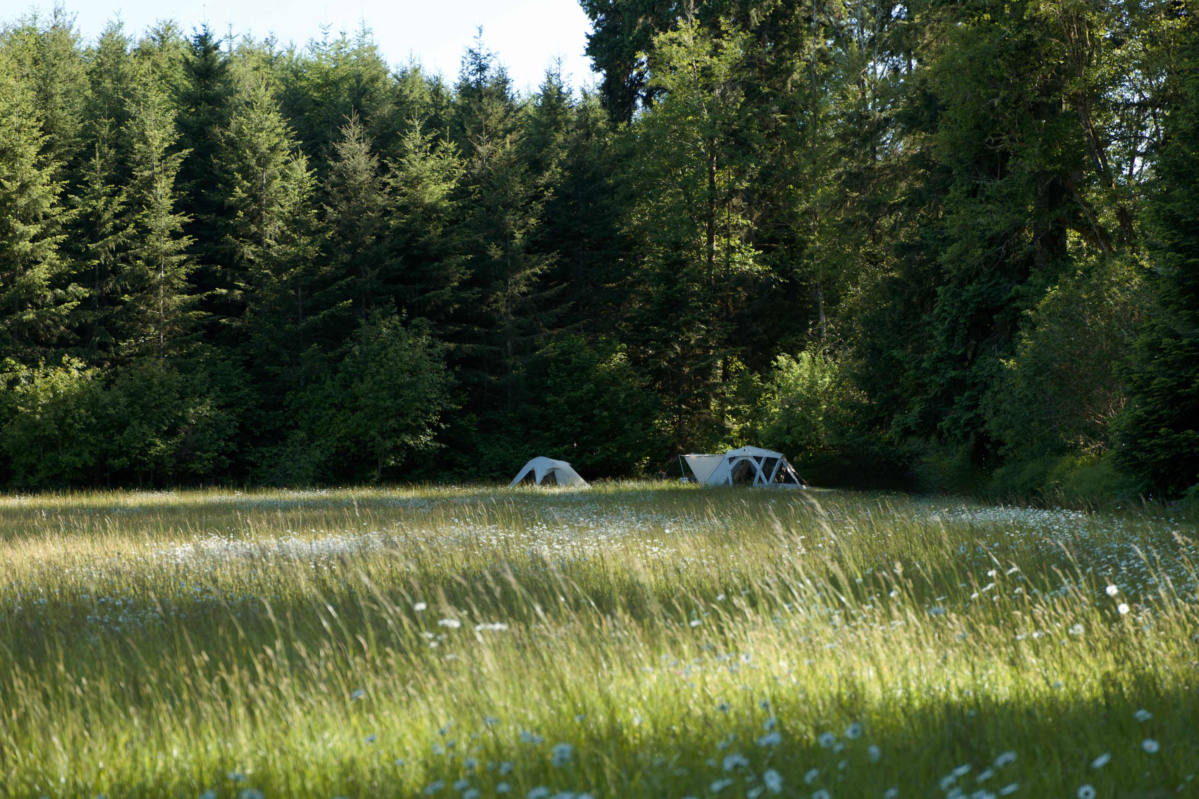 Lost Valley Farm Camp