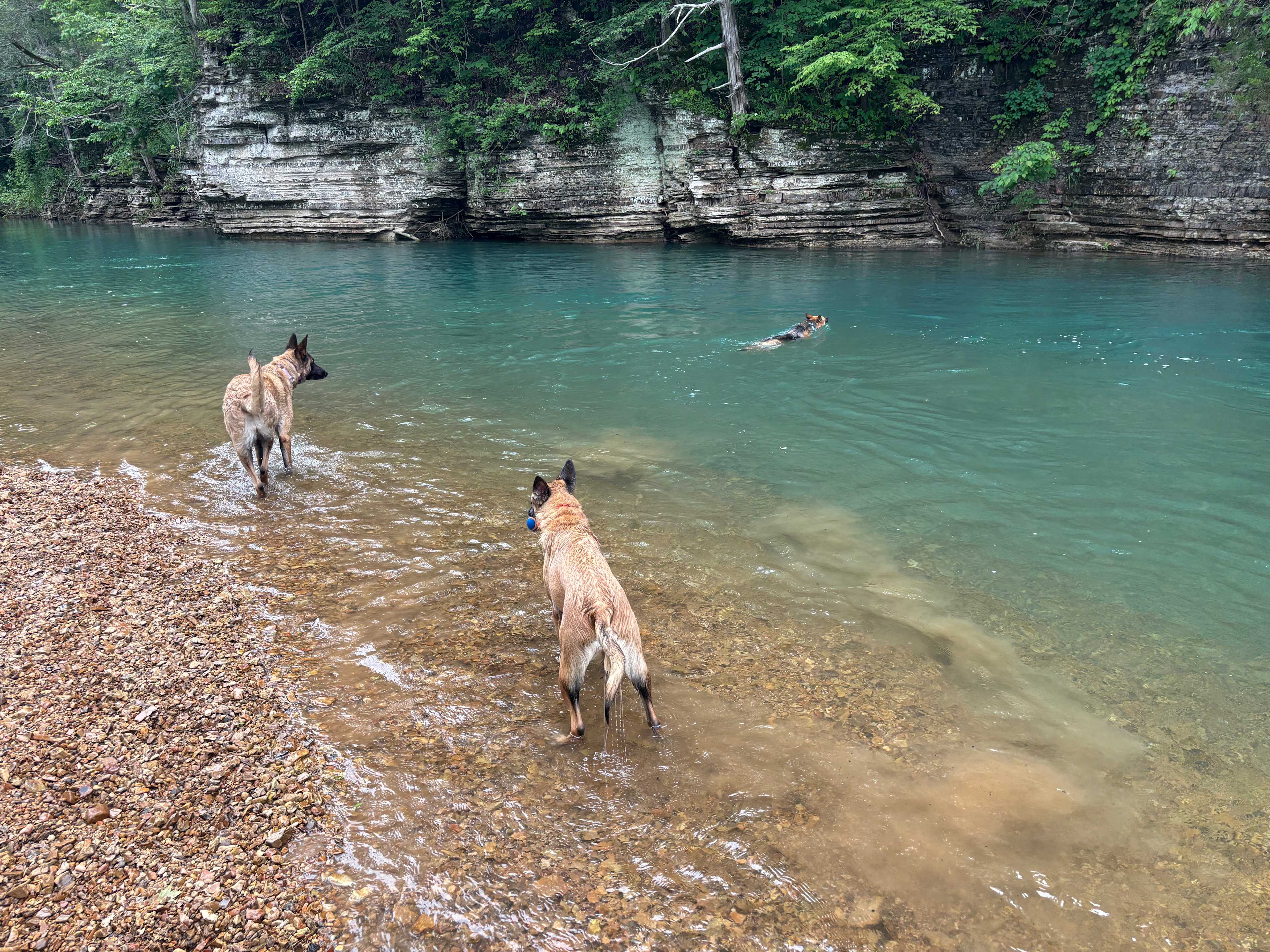  Beautiful blue creek deep enough to swim in