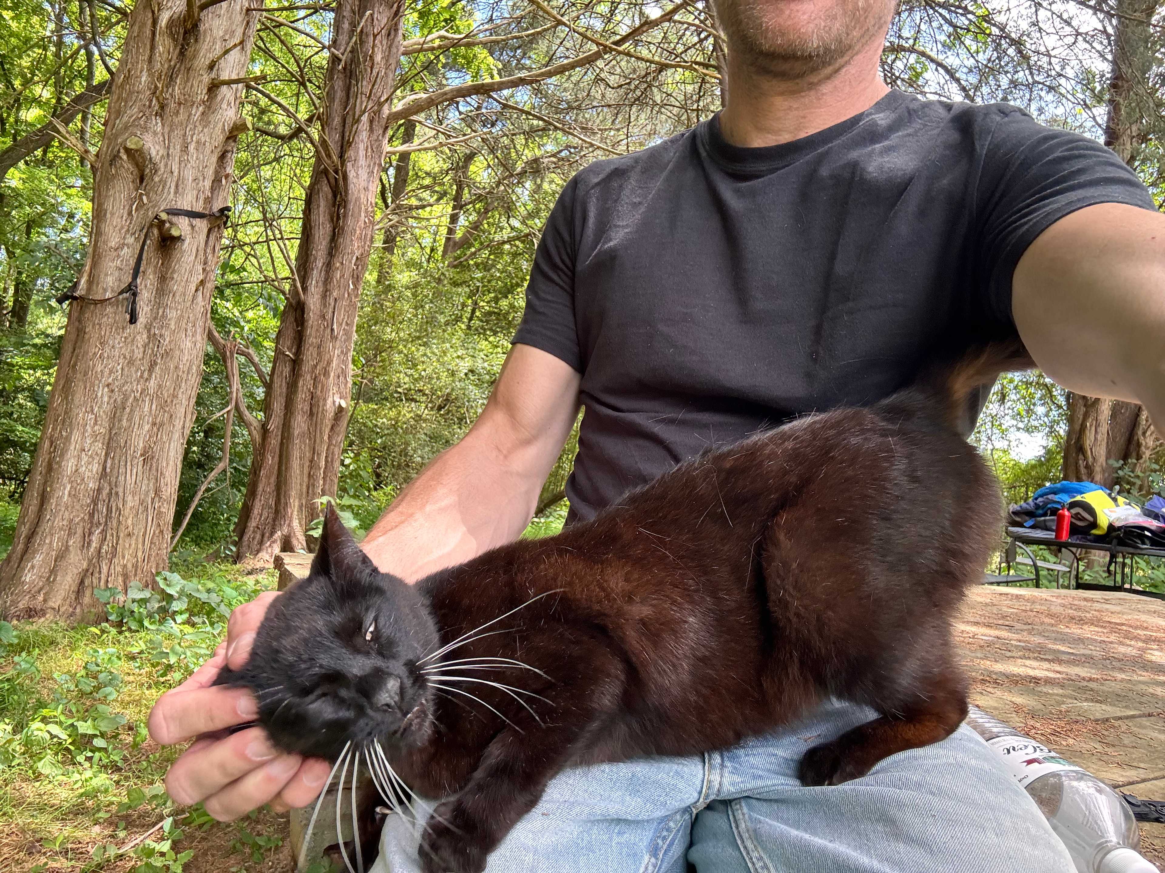 Cuddly void
