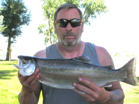 Sprague Lake Resort