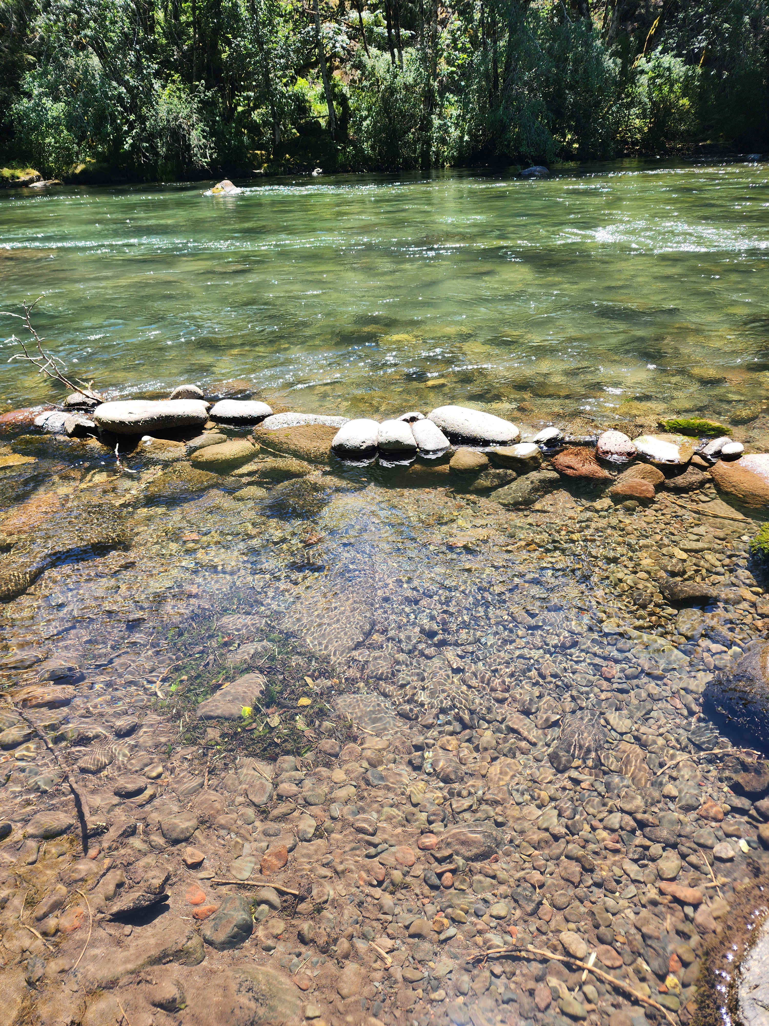 Cindi's River Getaway
