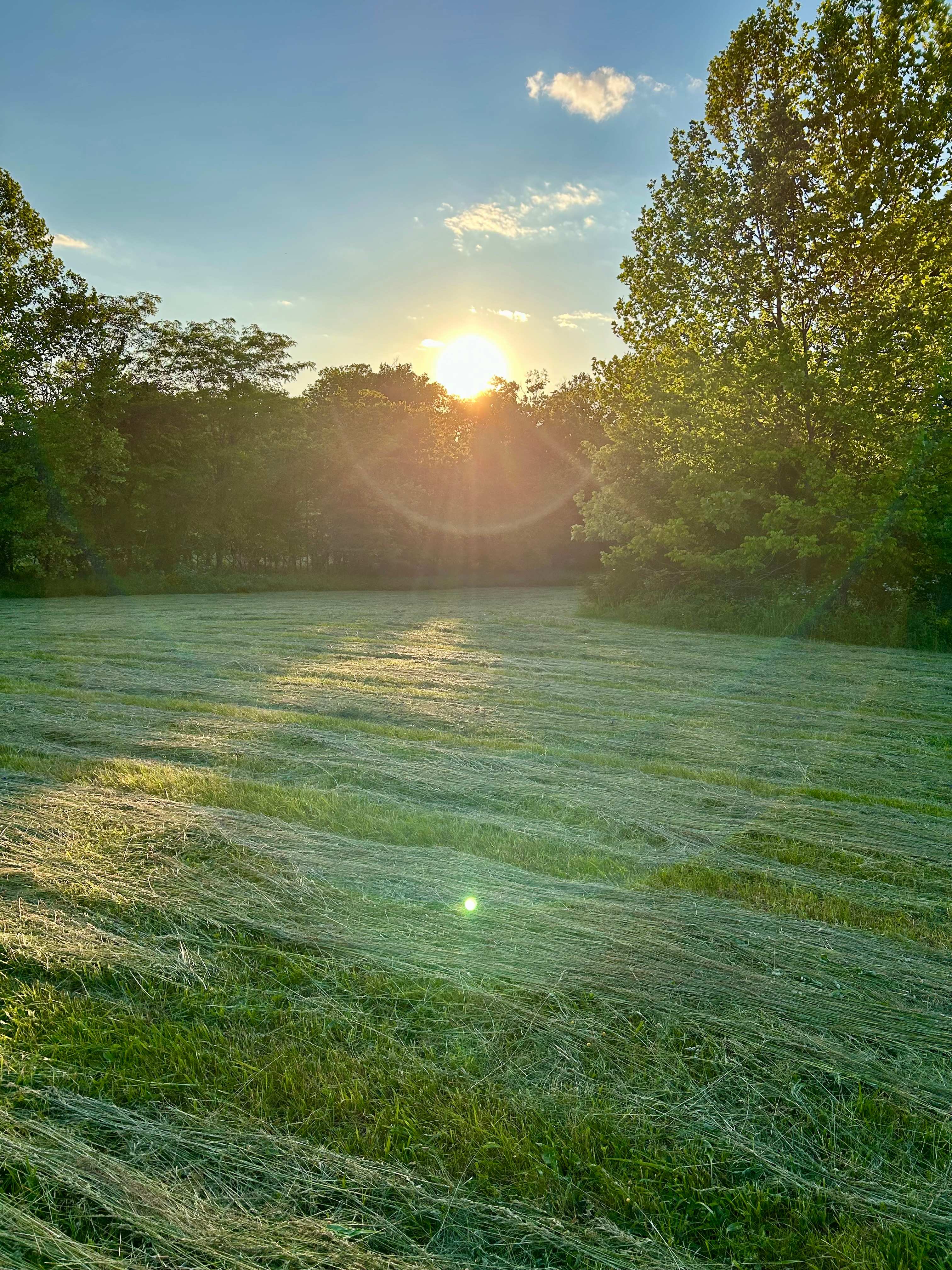 Terrapin Hill Farm