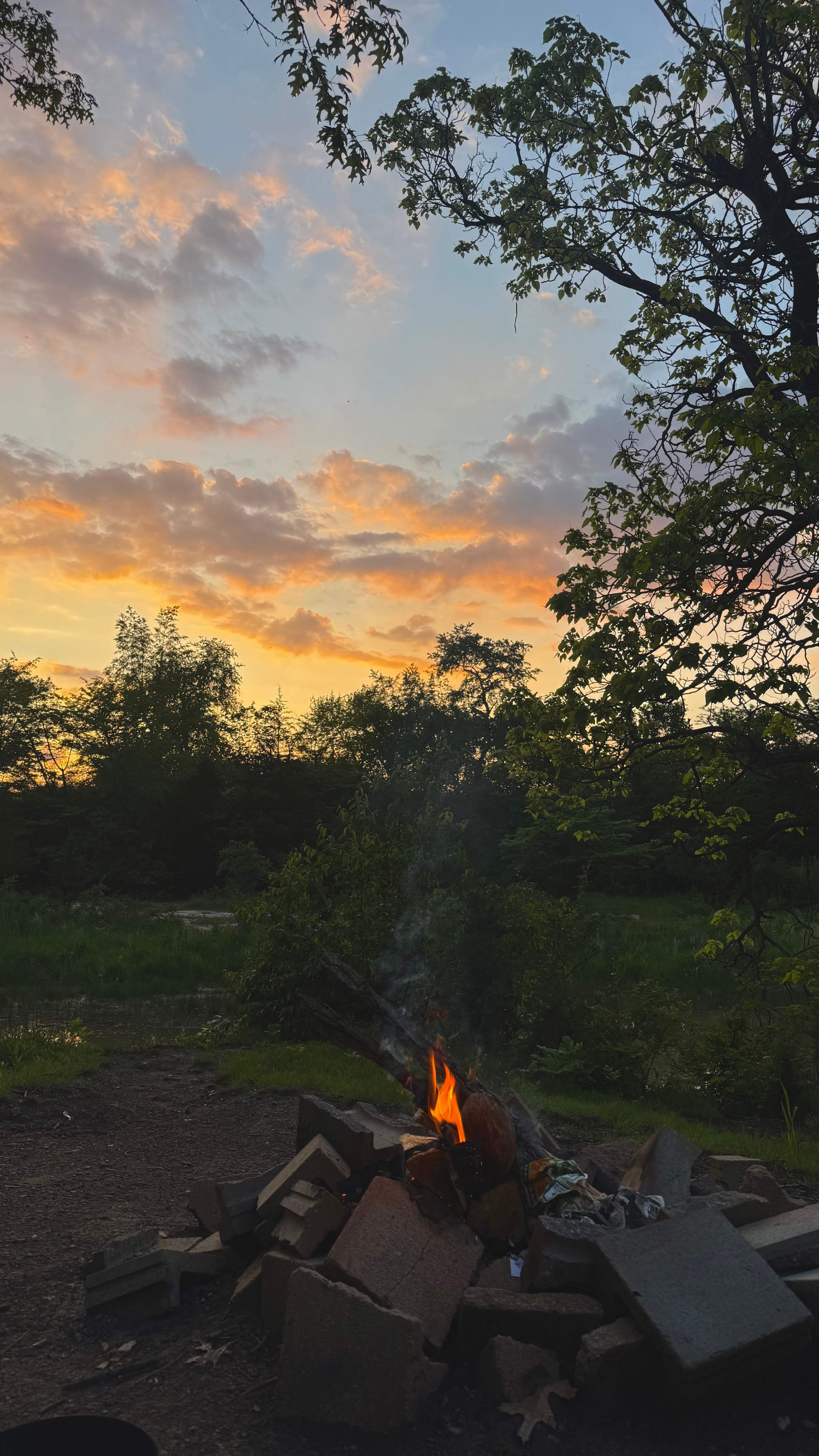 East Woods on the IL River