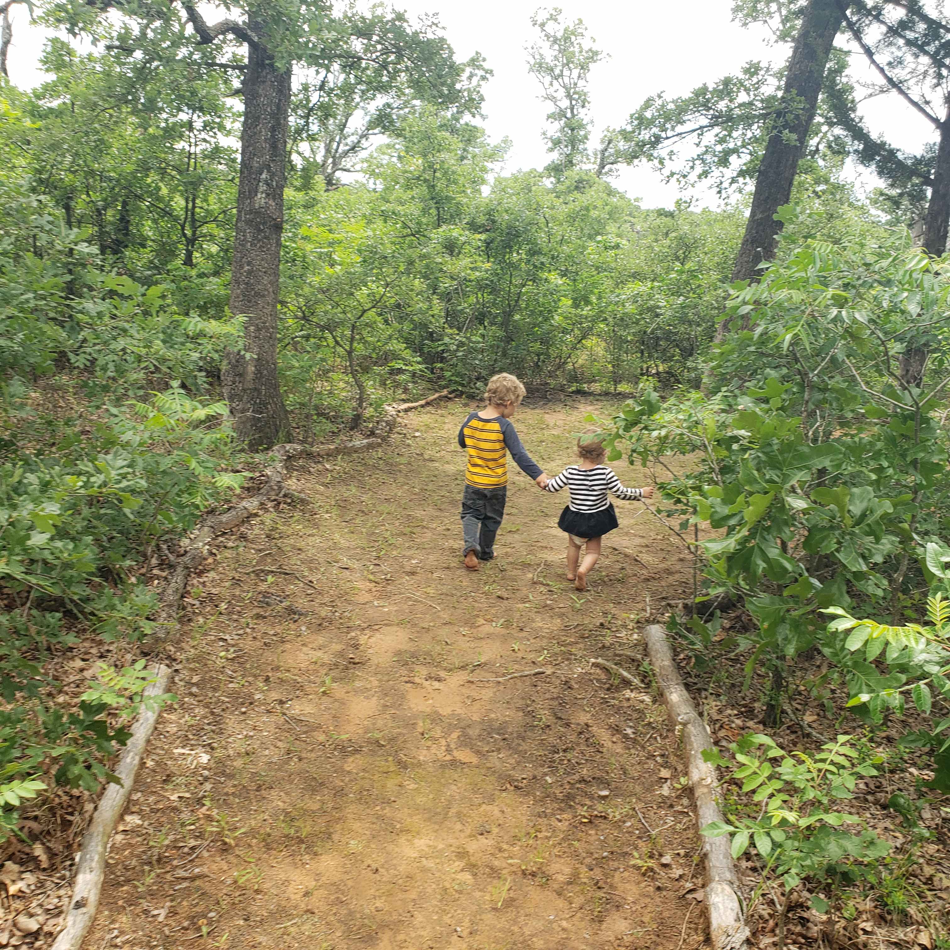 Oaklore Forest
