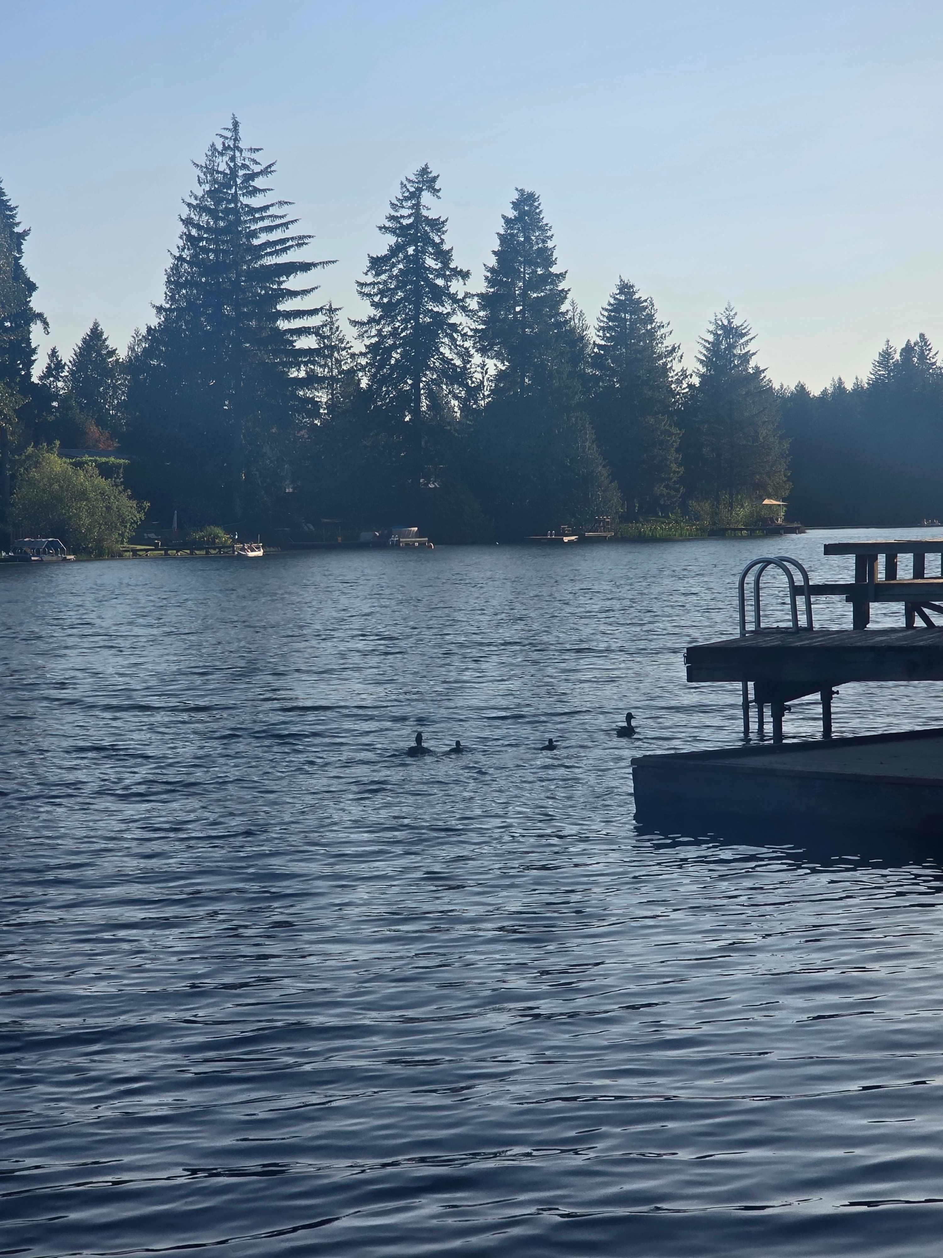 Pipe Lake Cabin