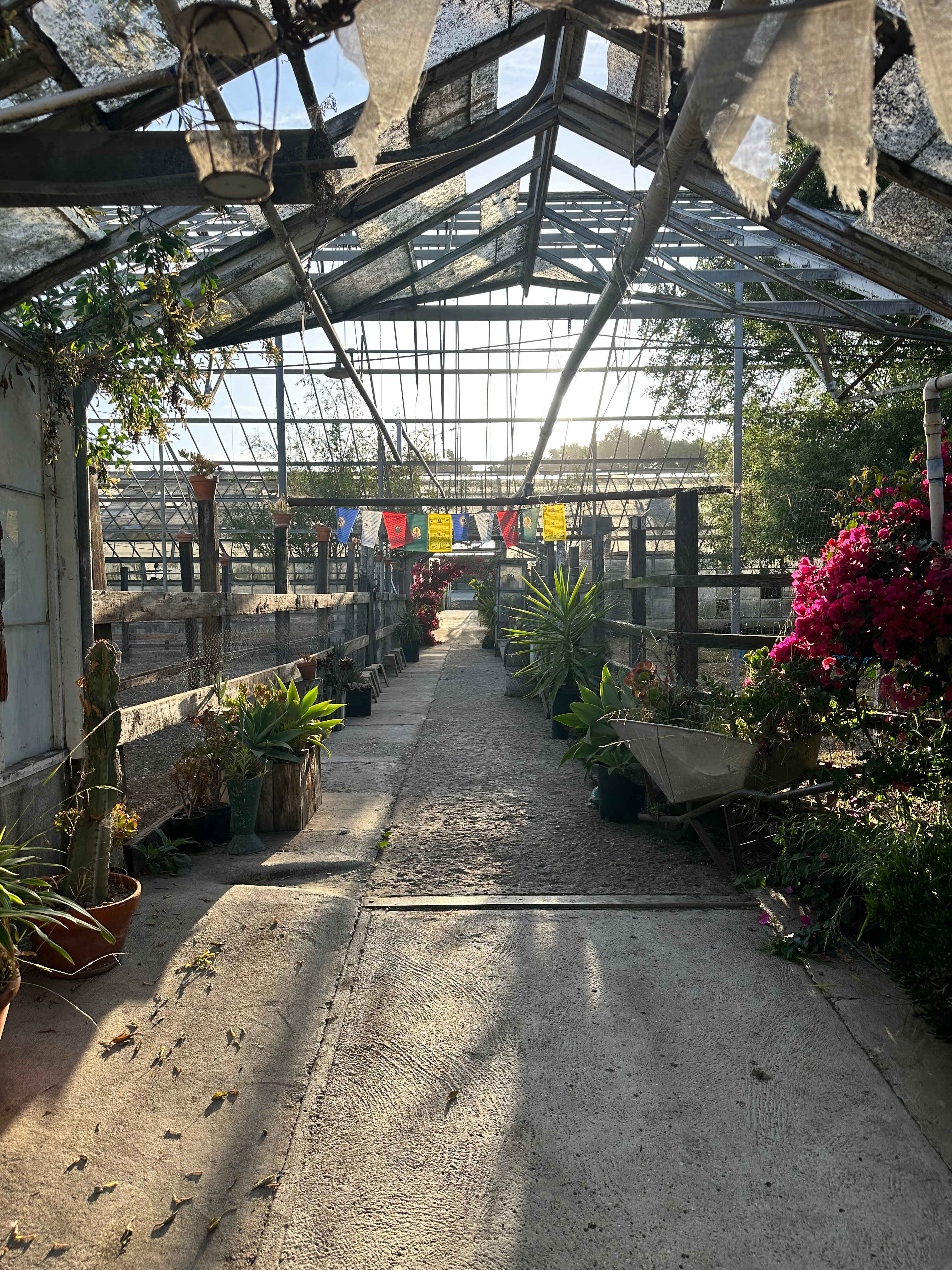 Hallway through the greenhouses