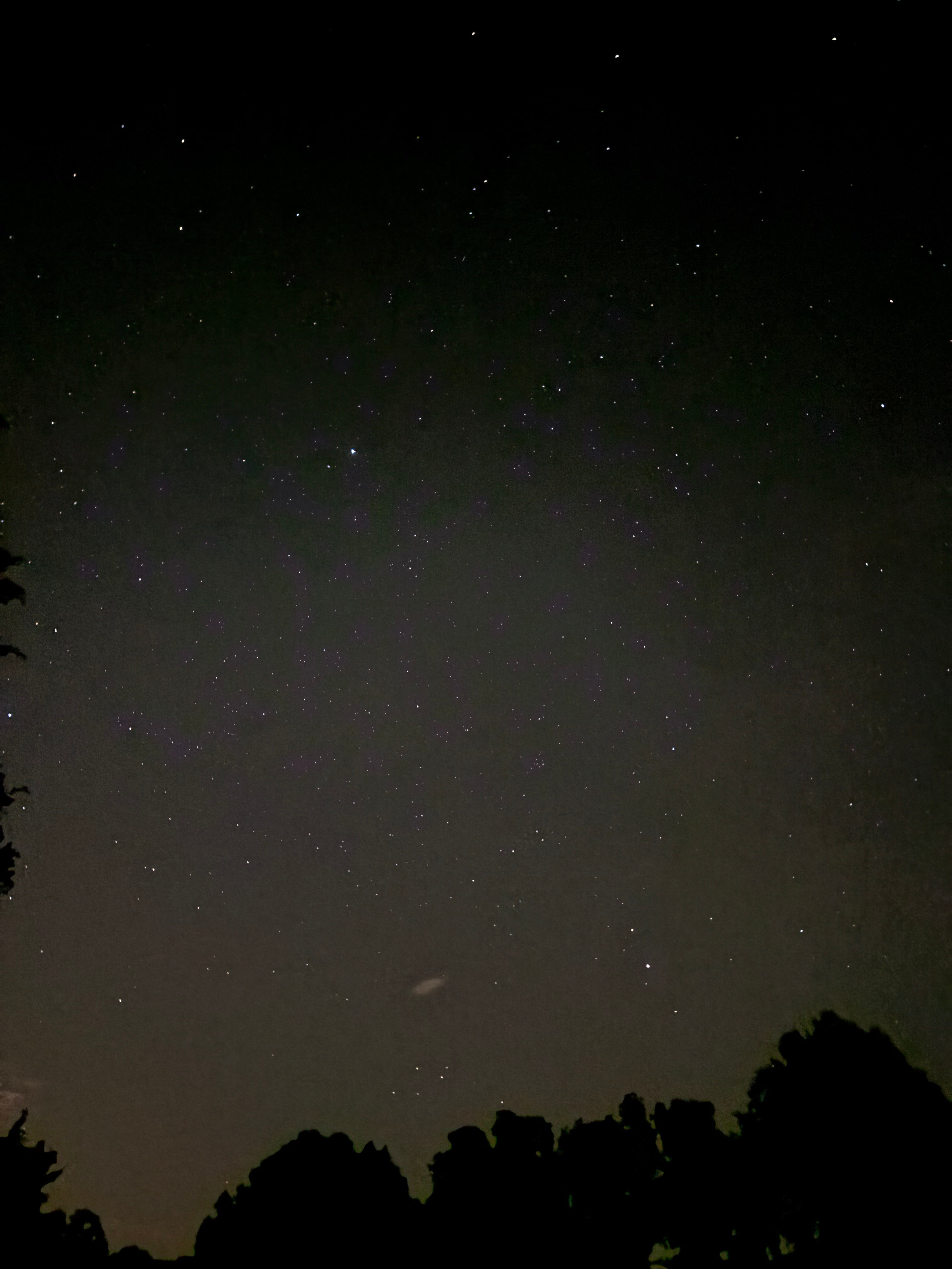 The beautiful night sky