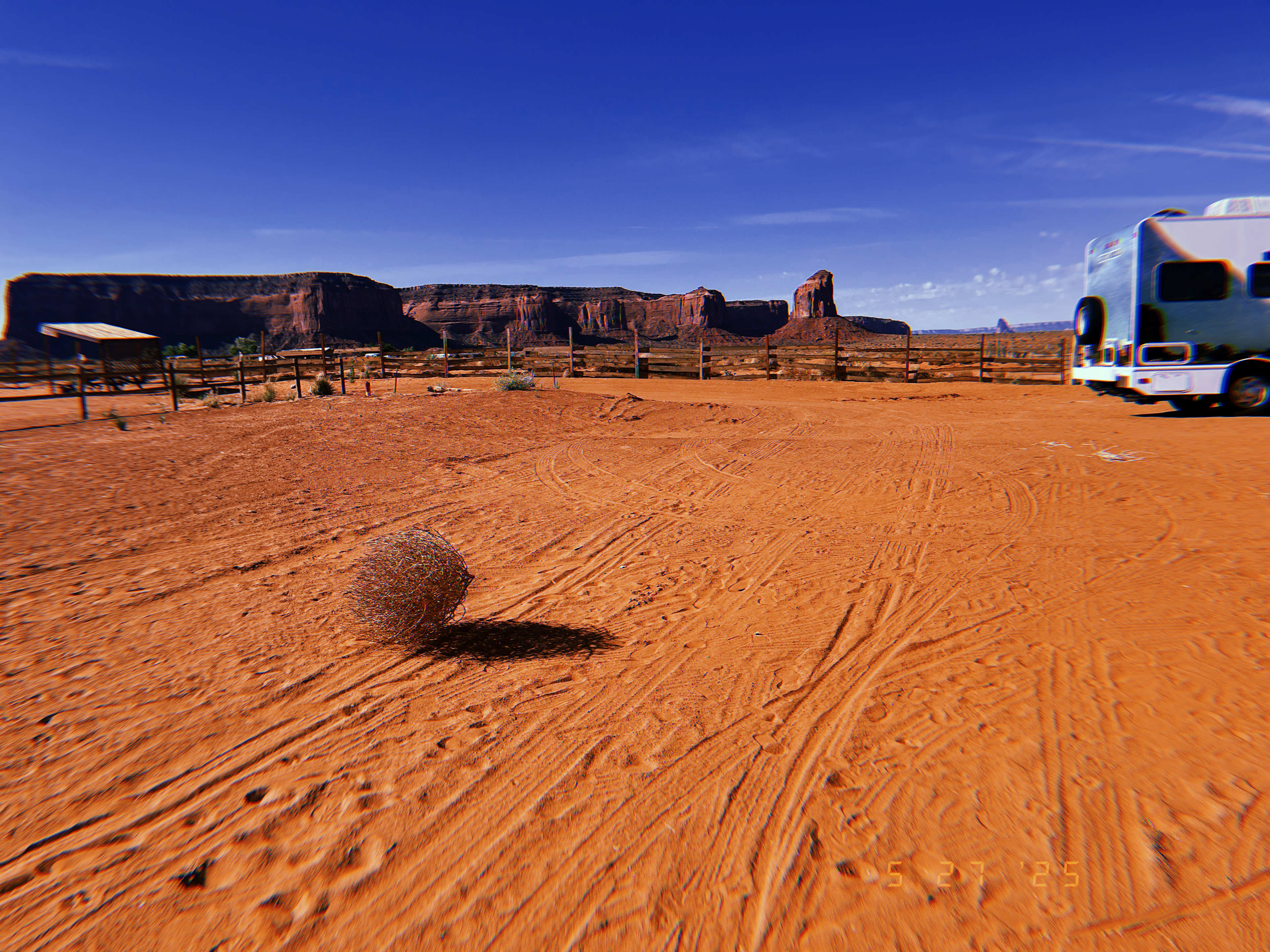 tumble weed :)