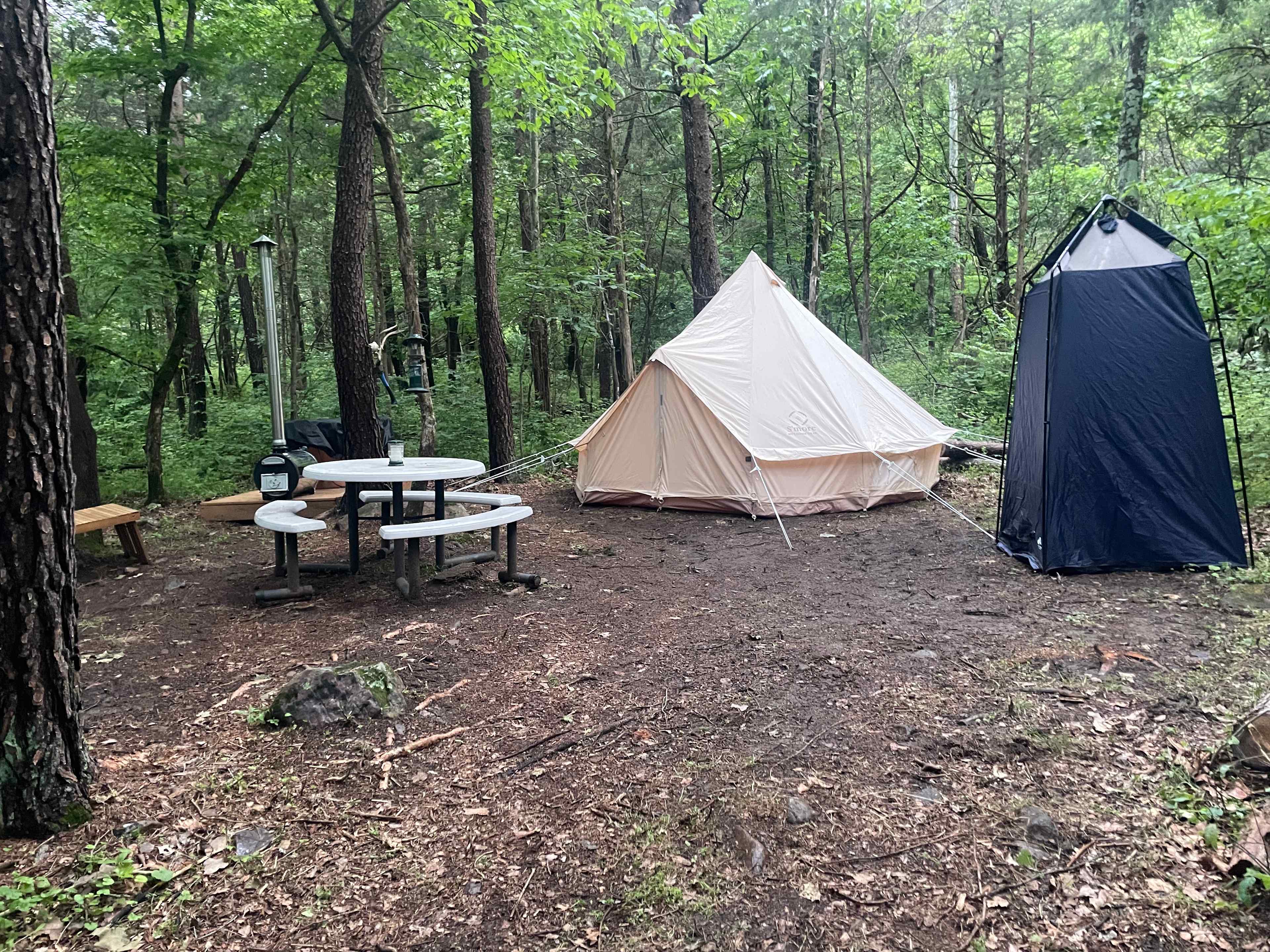 Nicholson’s Wonder Forest