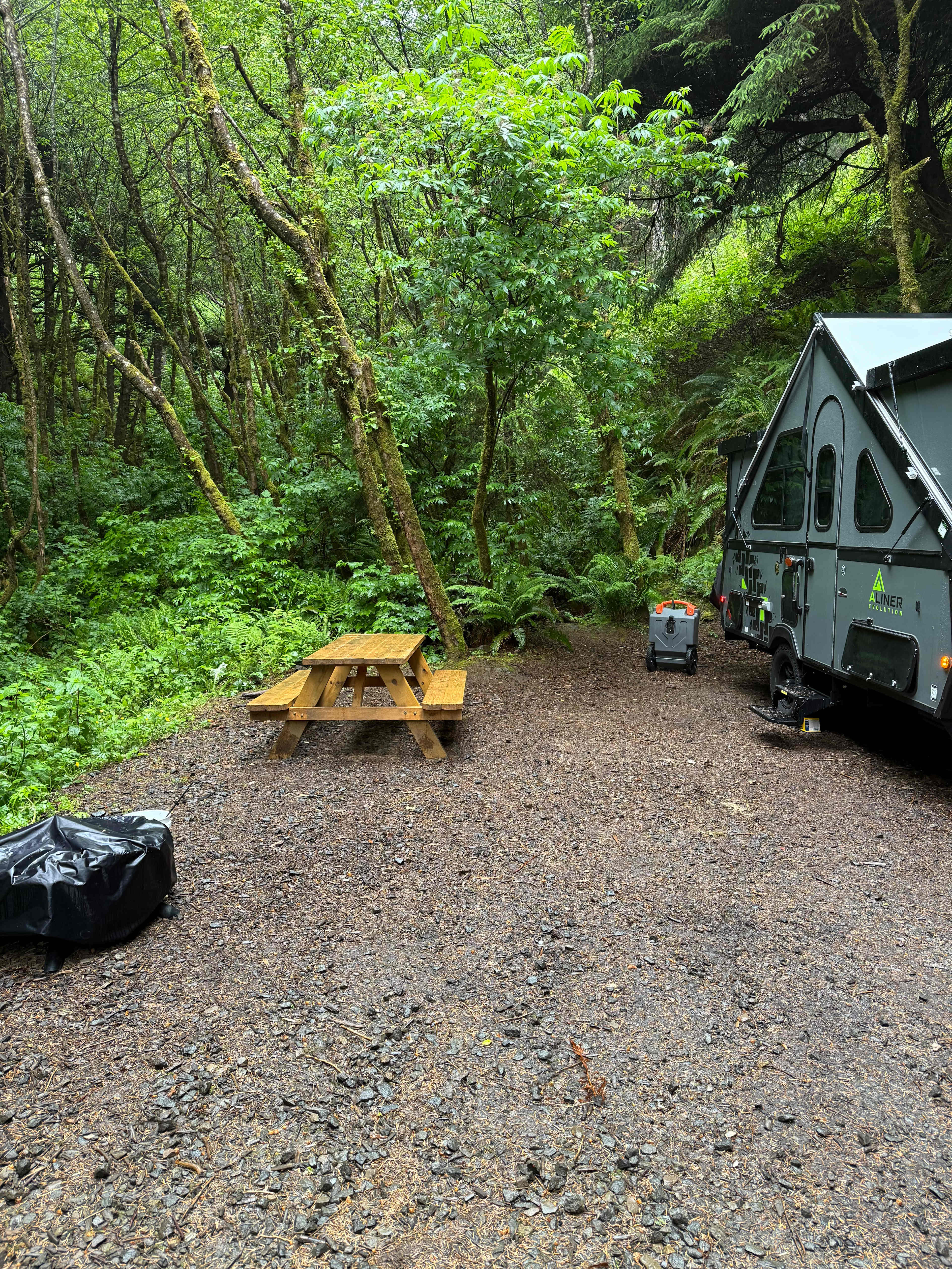 Nestled in wooded area