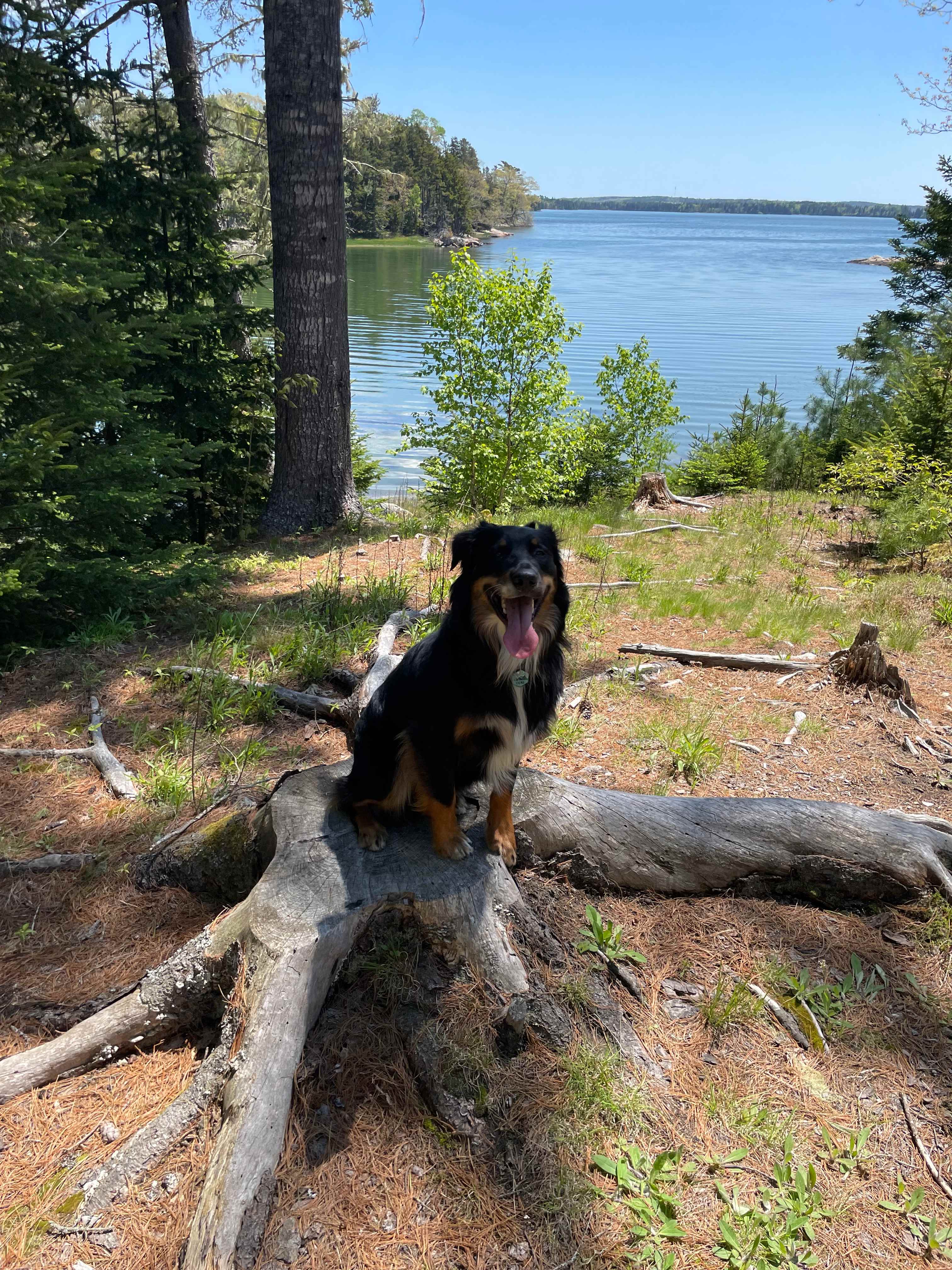 Eagle View Coastal Campground