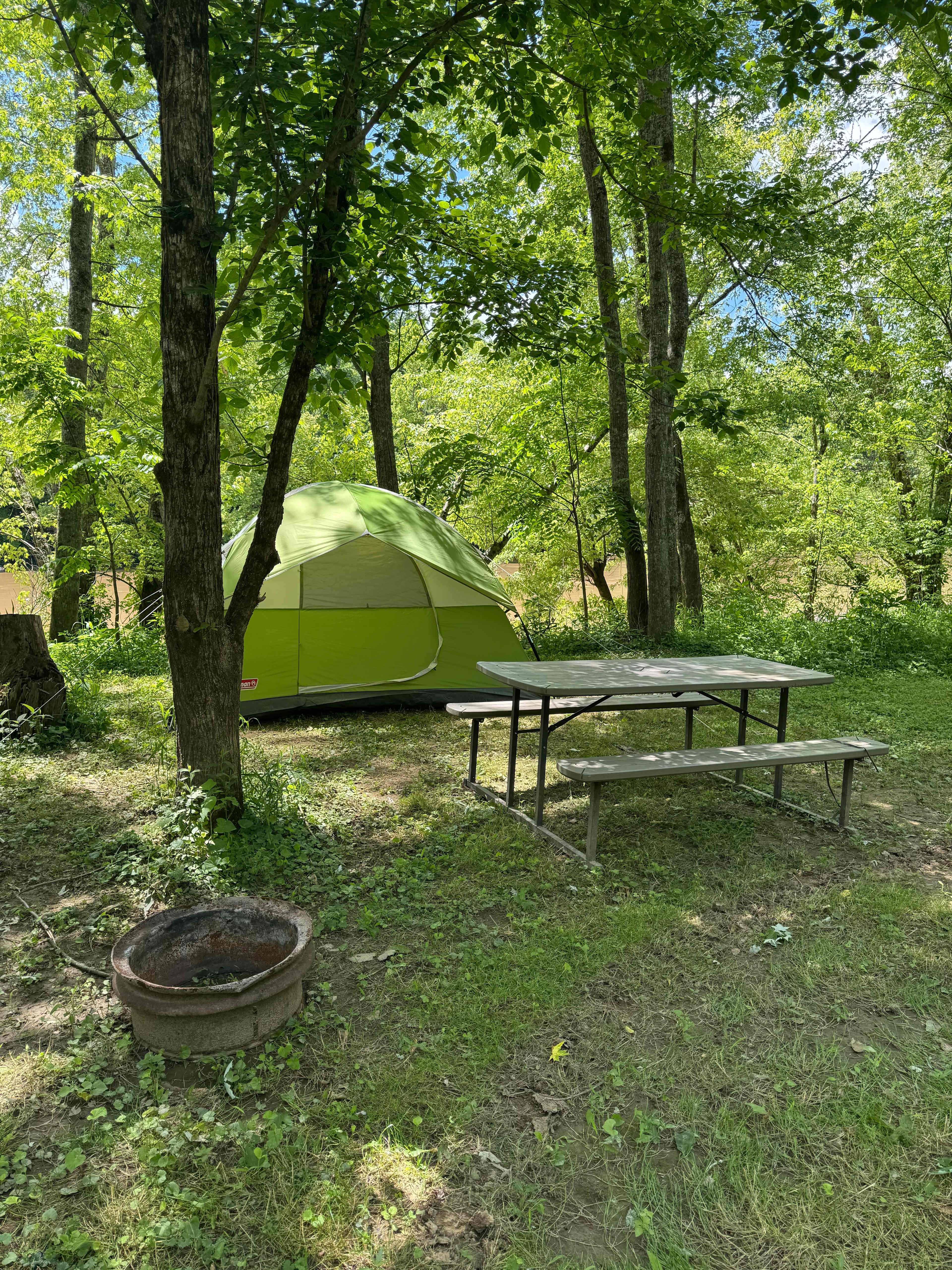 Picture of the site