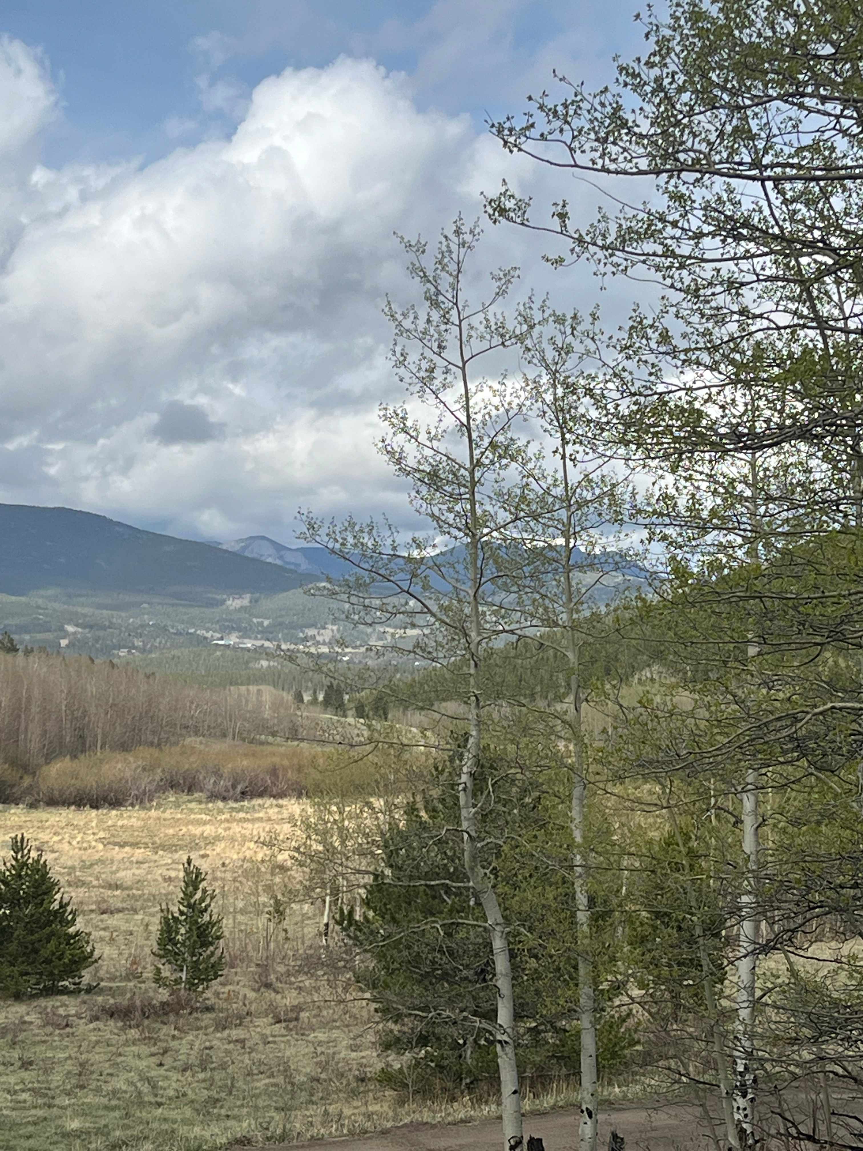 View from The Overlook. 