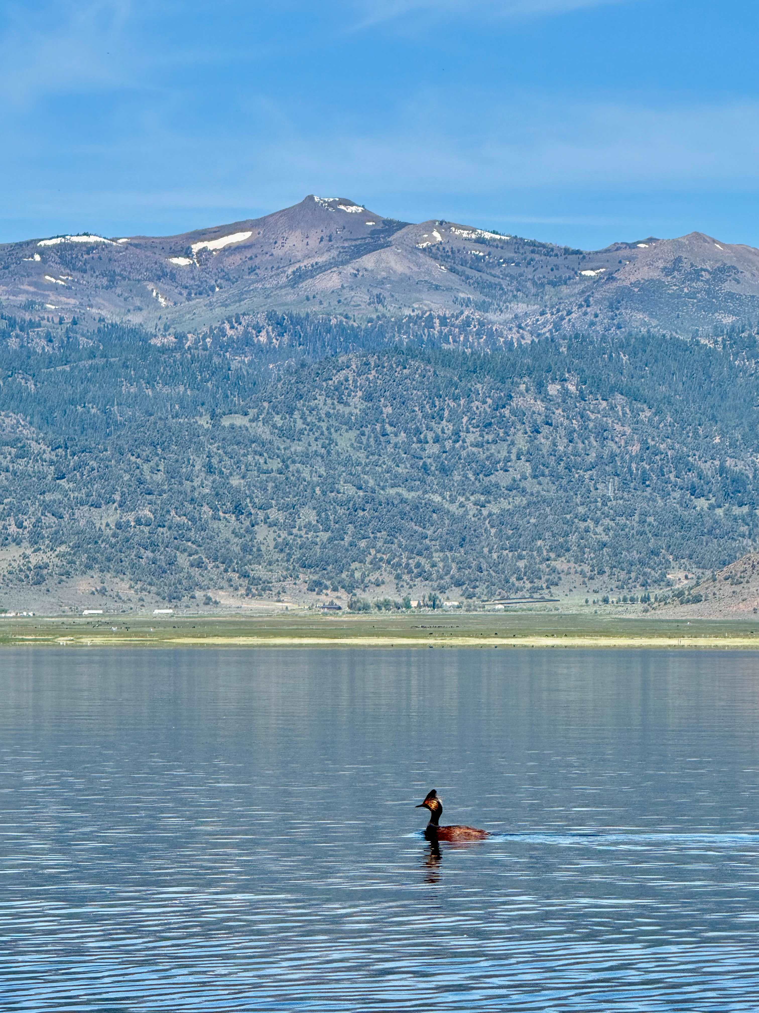 On the reservoir
