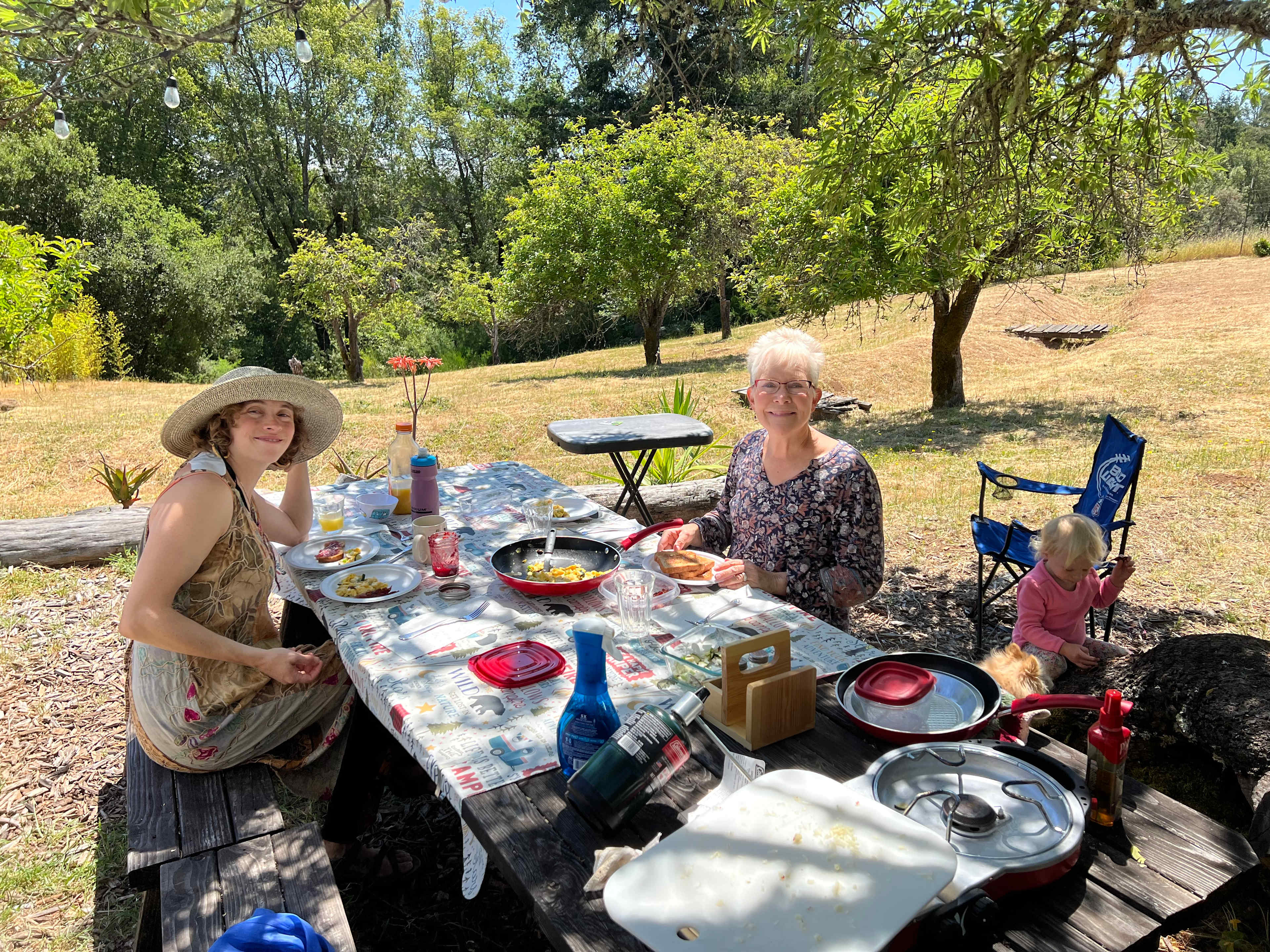  Breakfast time under the shade of the tree !