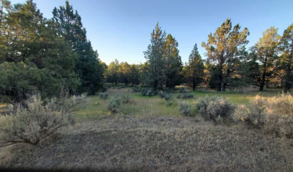 Prosperity Pines Hideaway Camp
