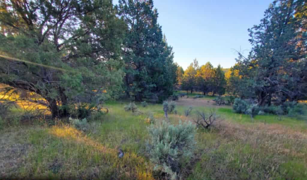 Prosperity Pines Hideaway Camp