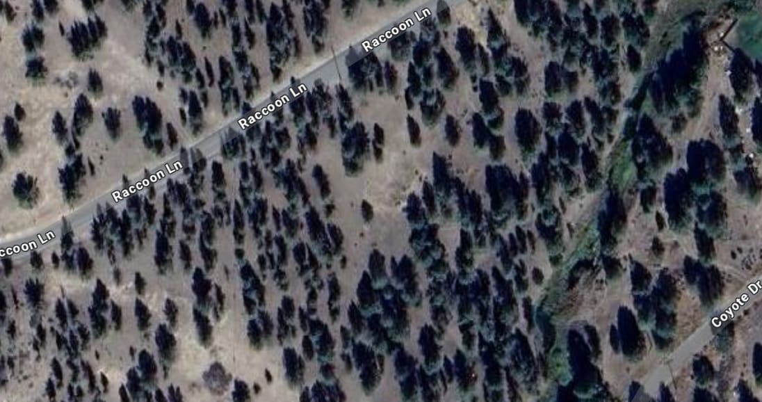 Prosperity Pines Hideaway Camp