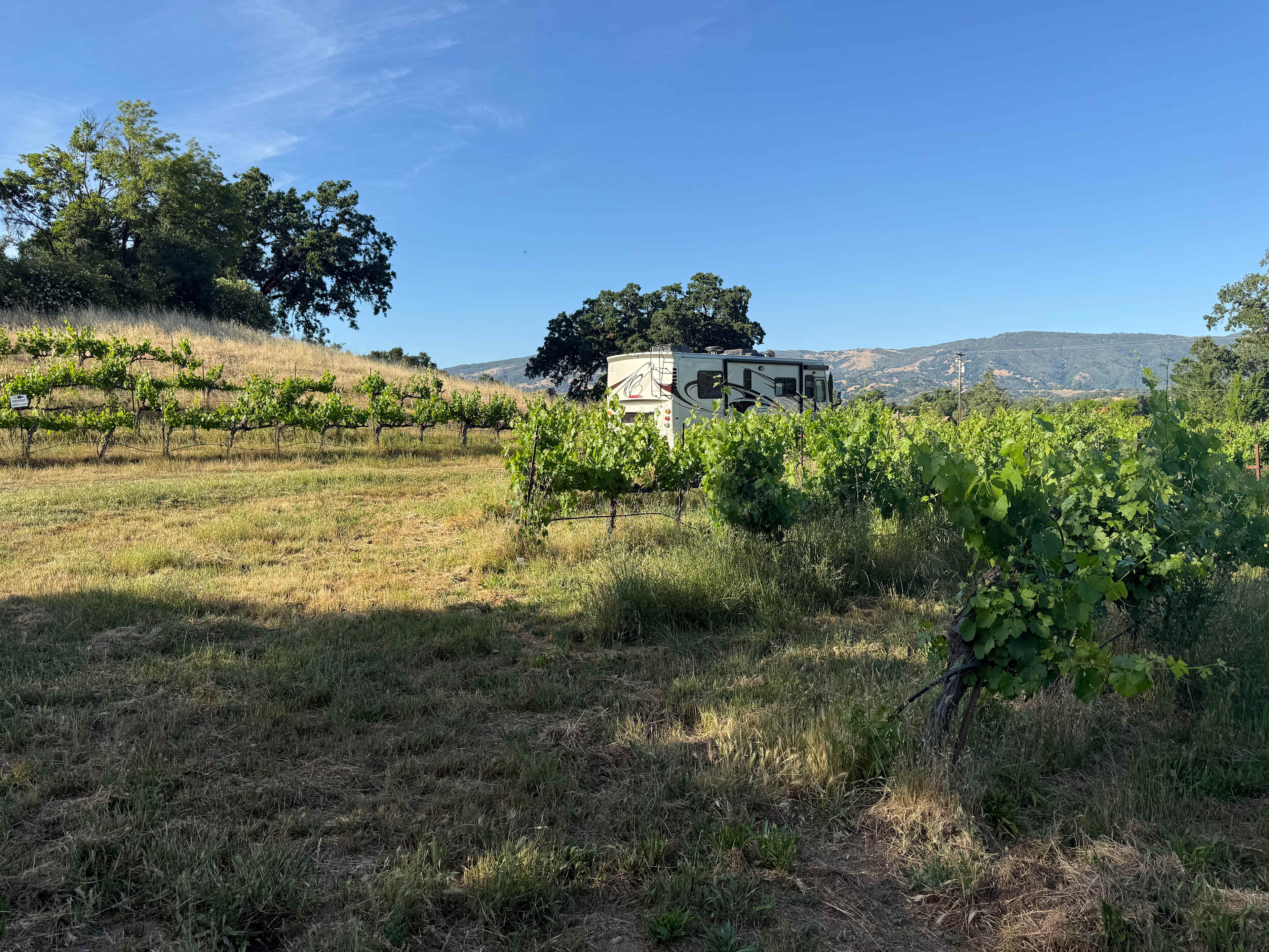 Duncan Peak Vineyards