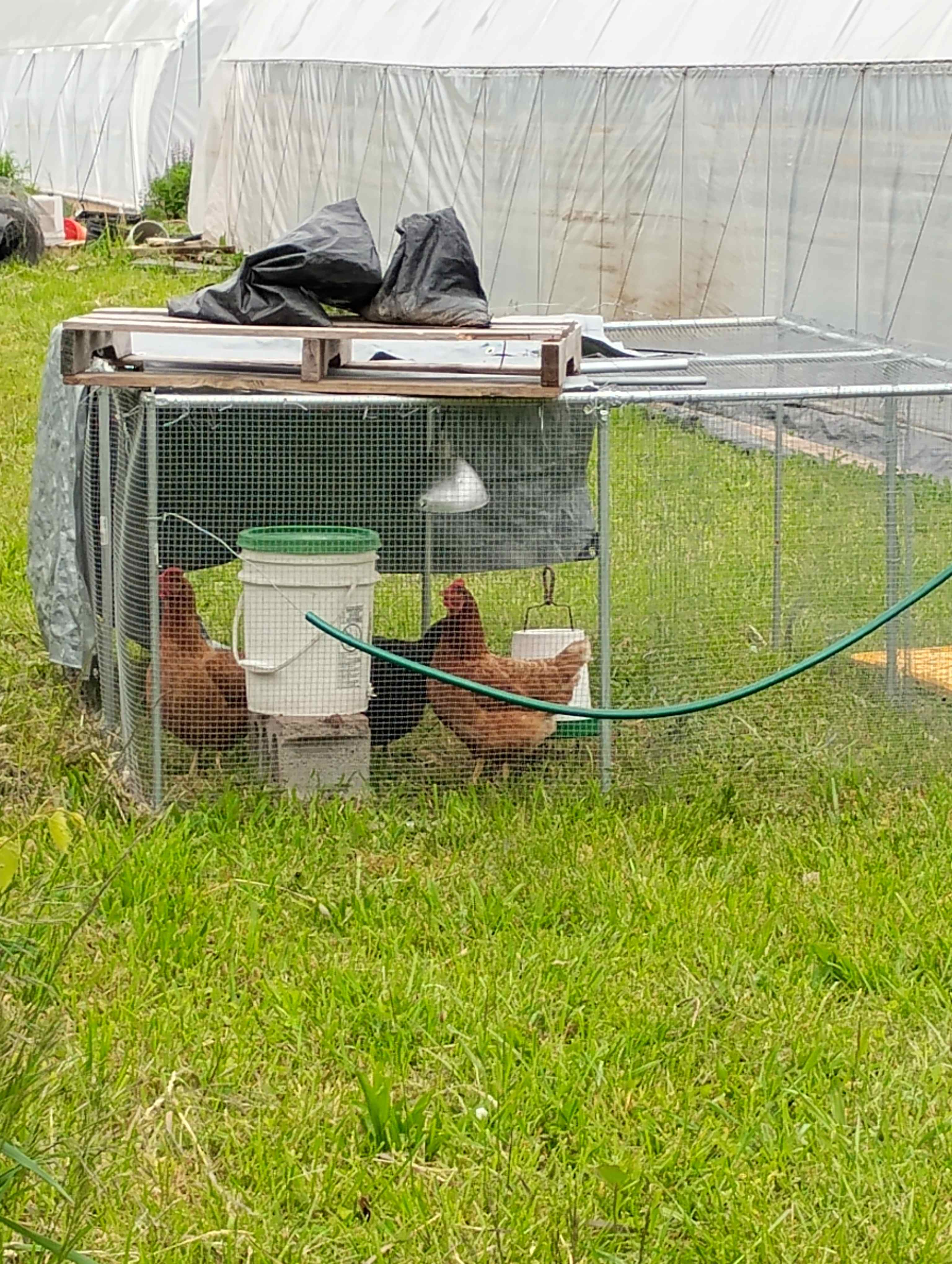 Is this legal? Do better please.