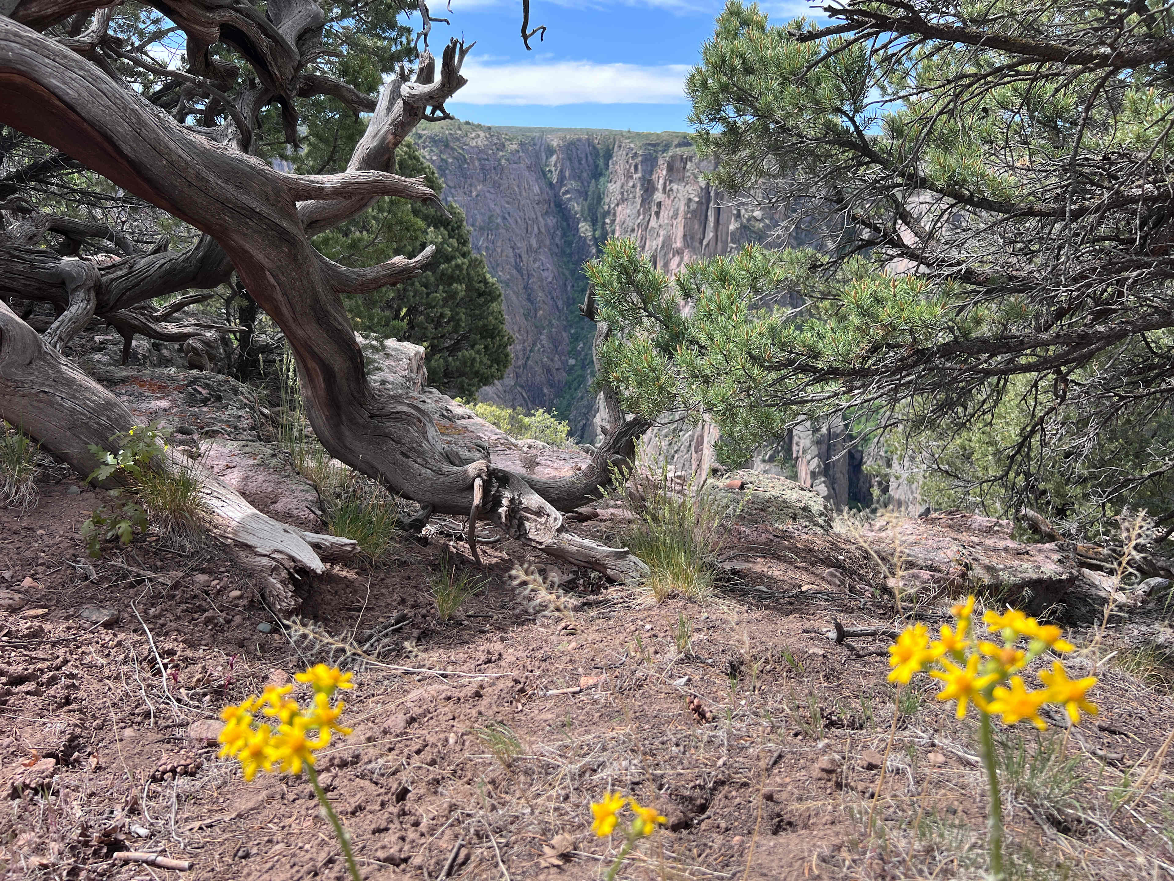 Black Canyon of Gunnison