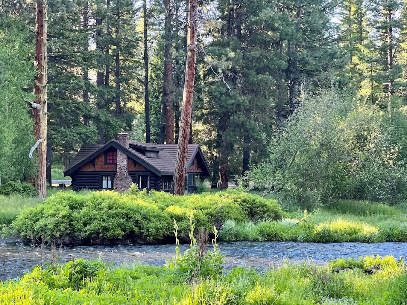 Cold Springs Resort and RV Park