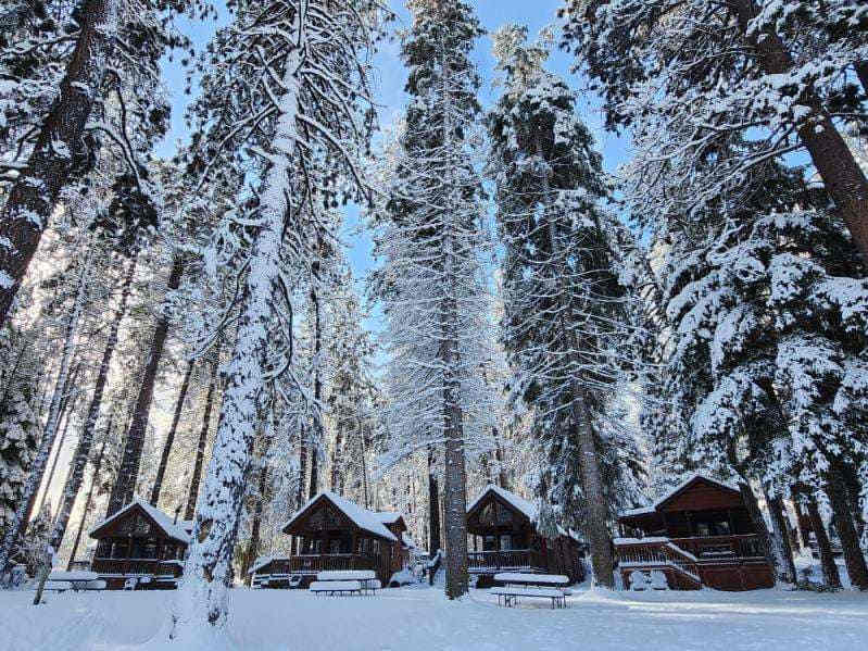 Cold Springs Resort and RV Park