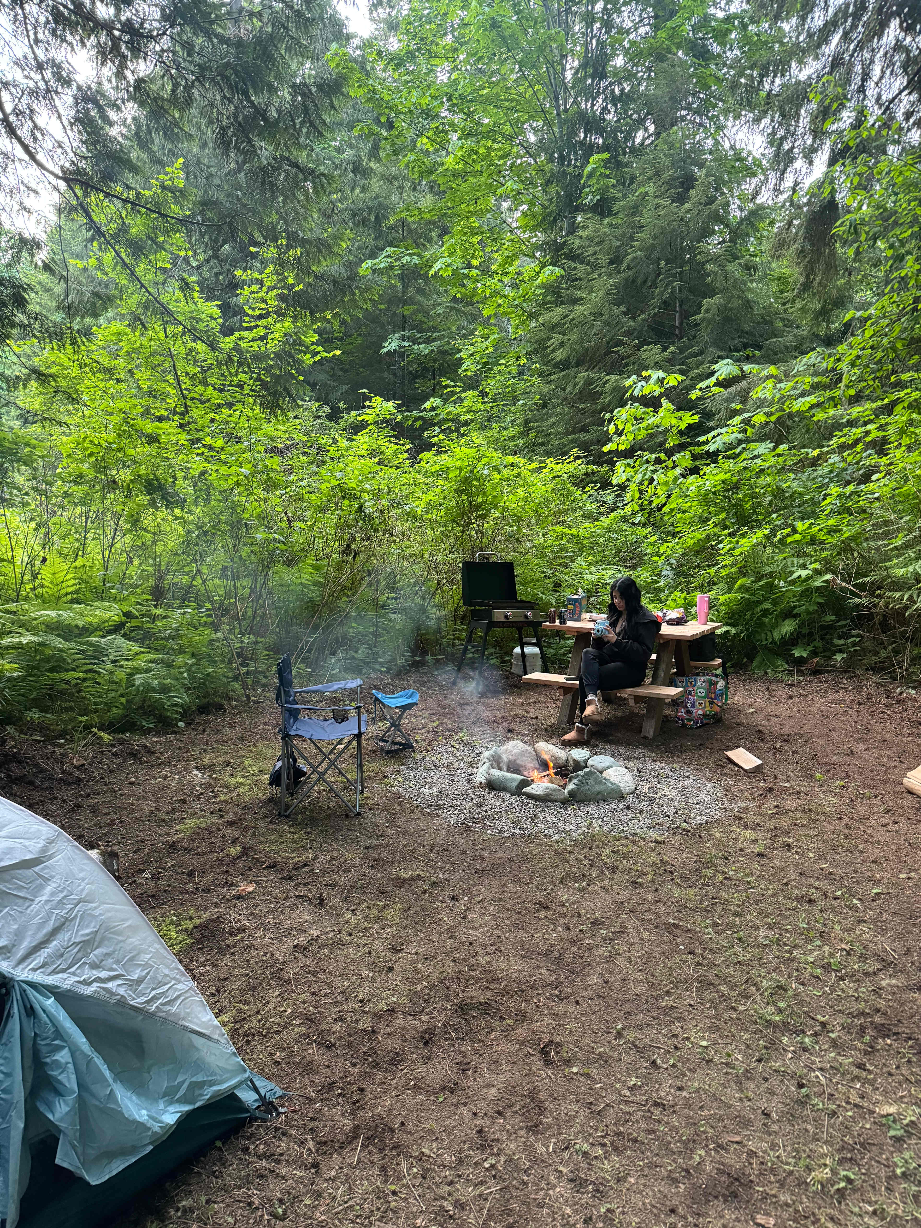 Picture of the site