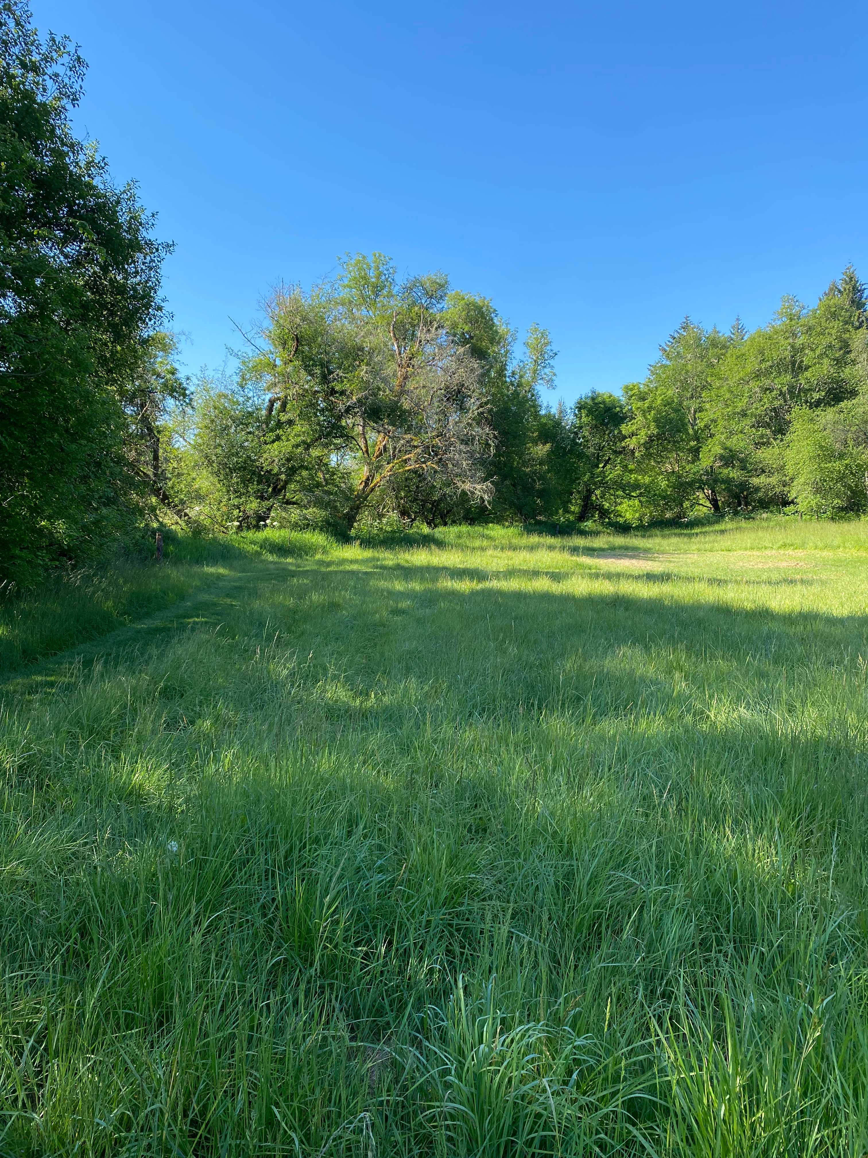 The Treharne Trailhead