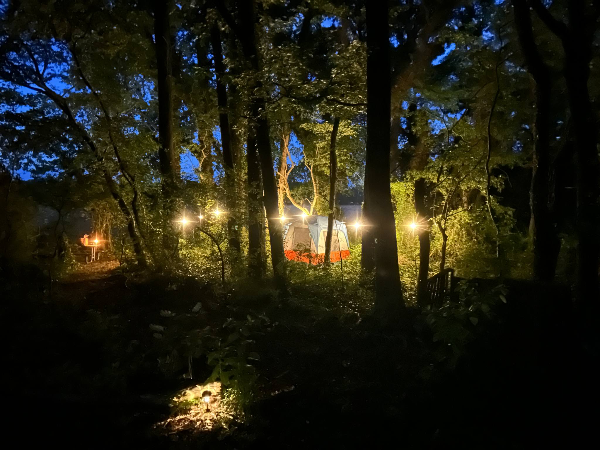 Watershed Woods