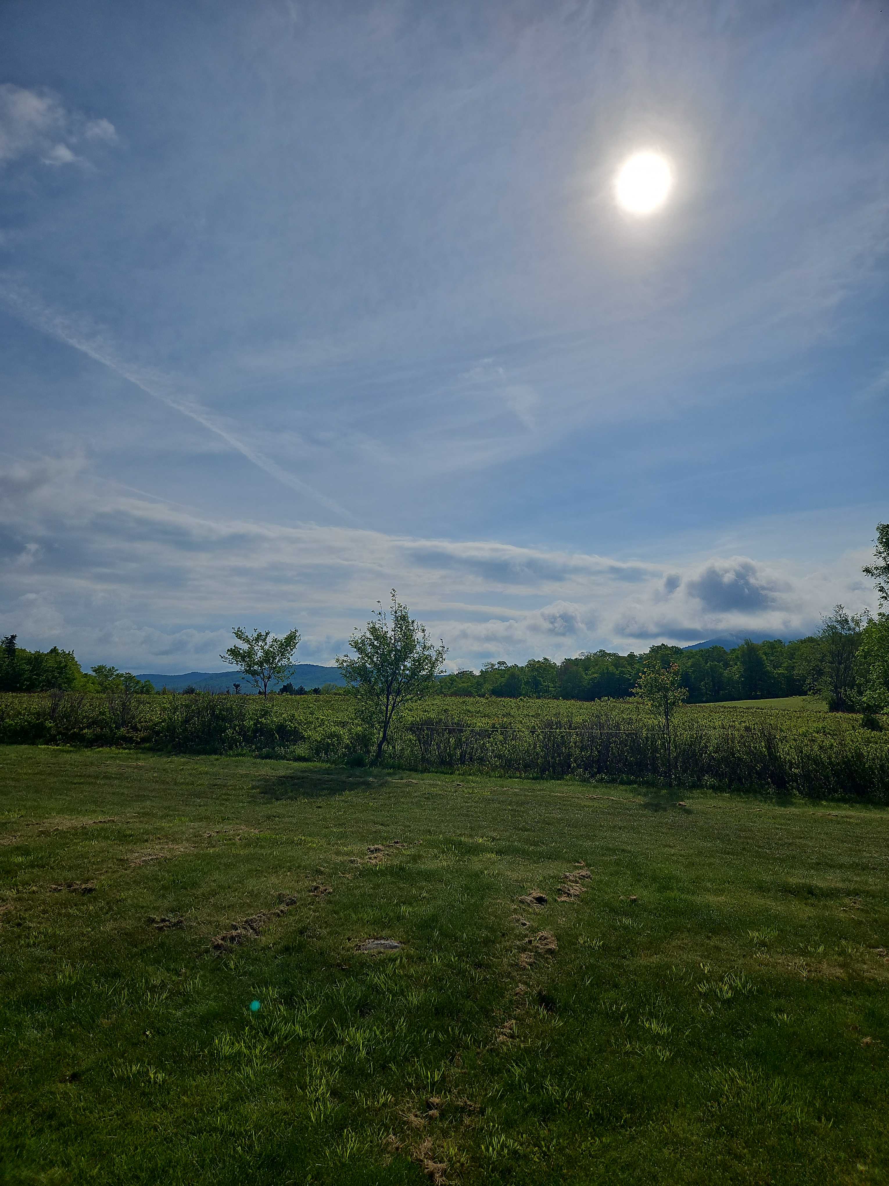 Grateful Acres Vermont