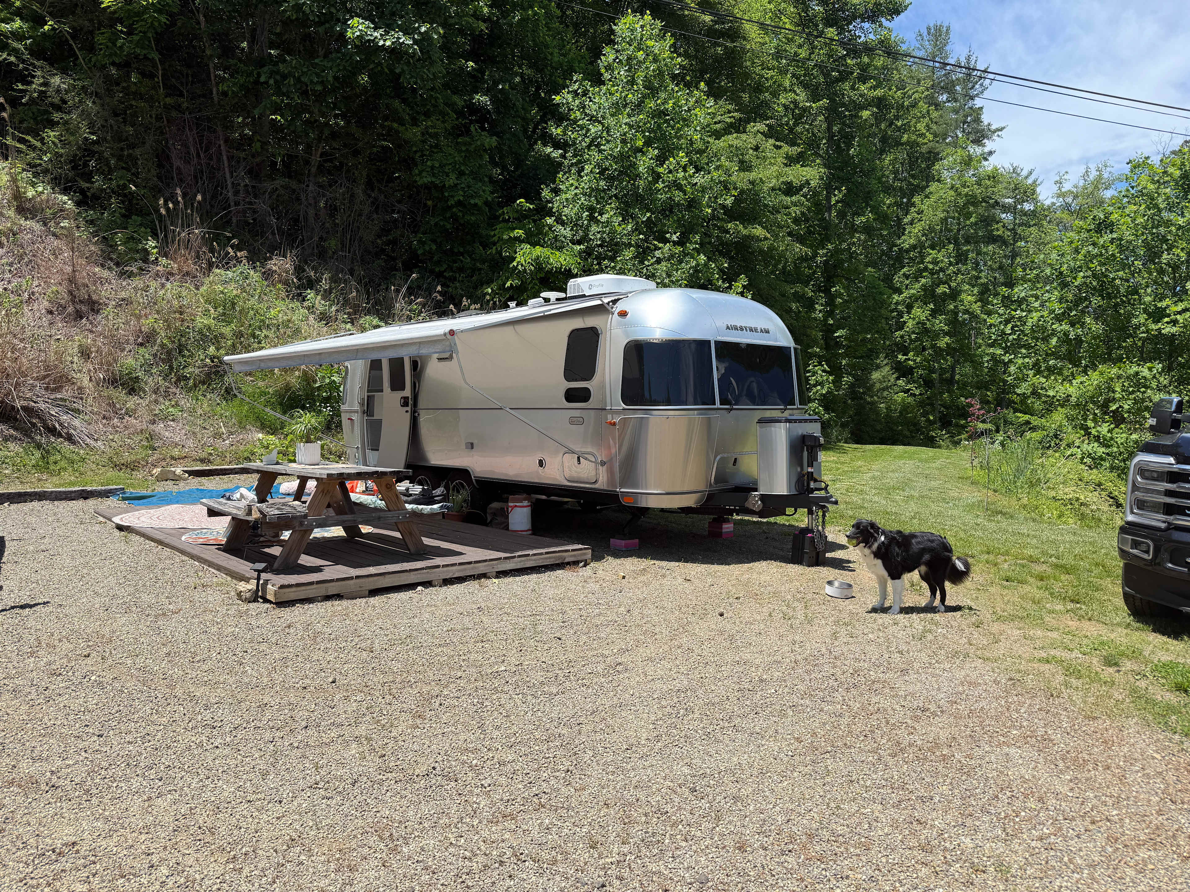 Picture of the site