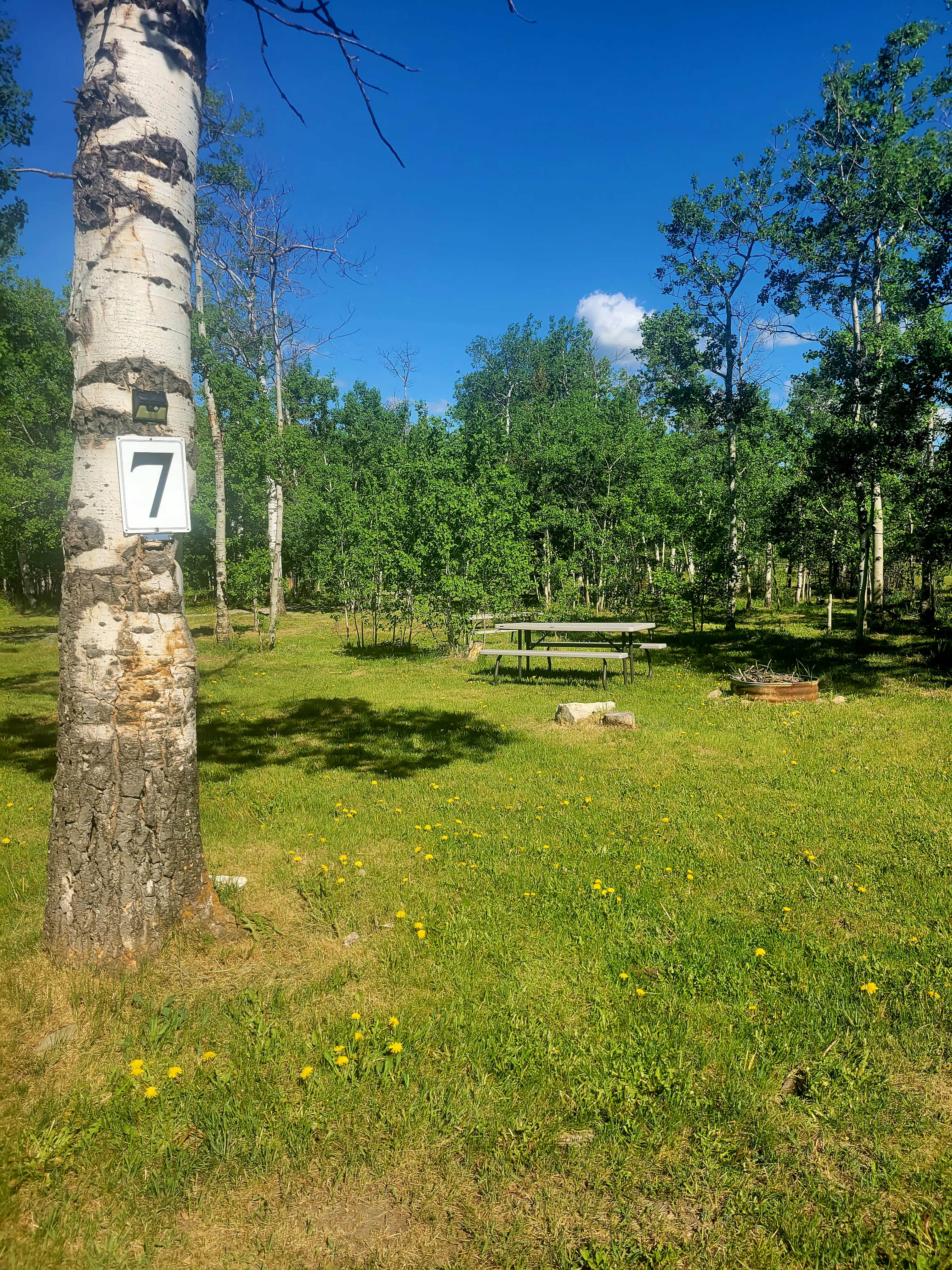 Duck Lake Lodge Campground