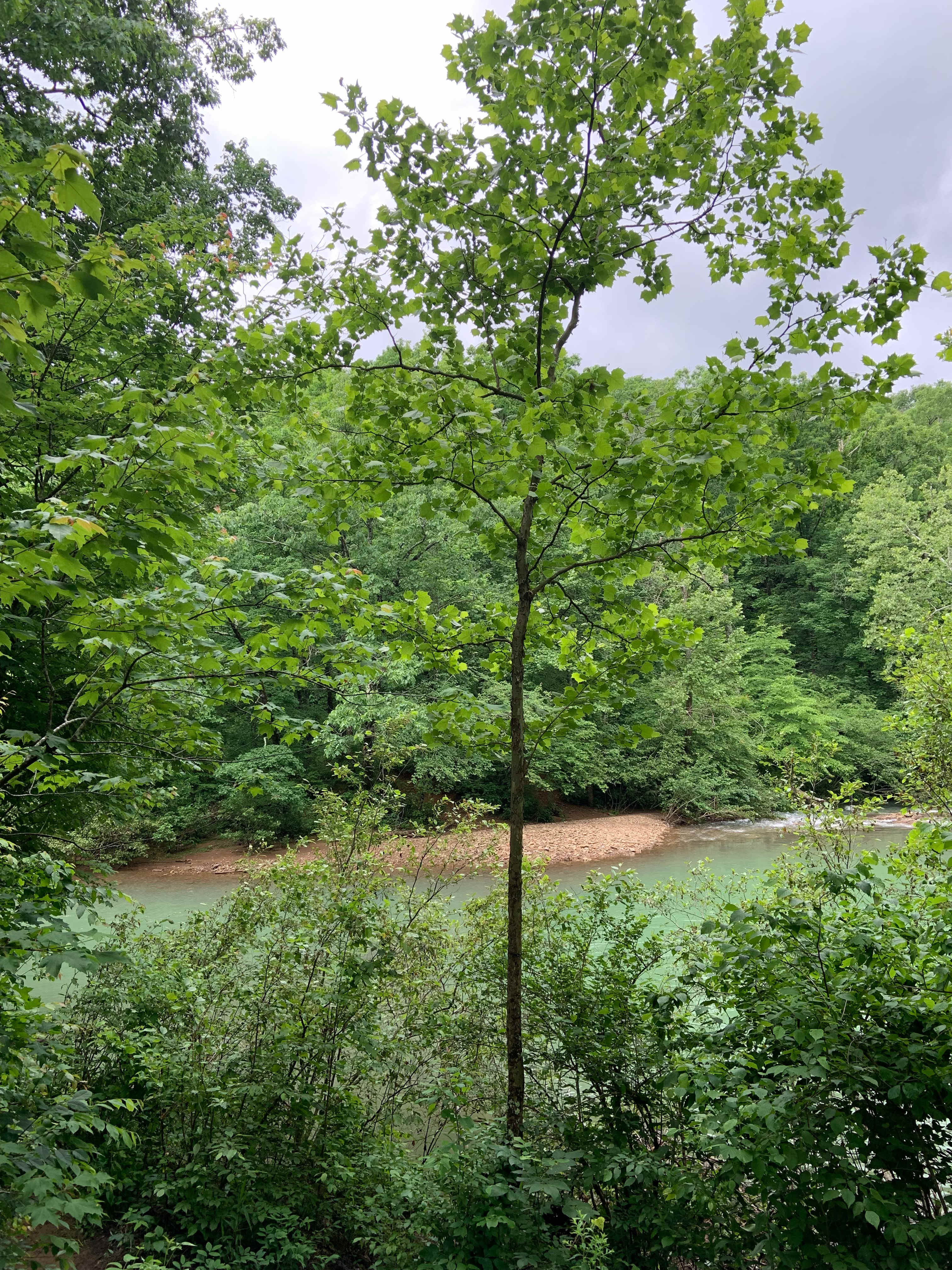 View from site #1