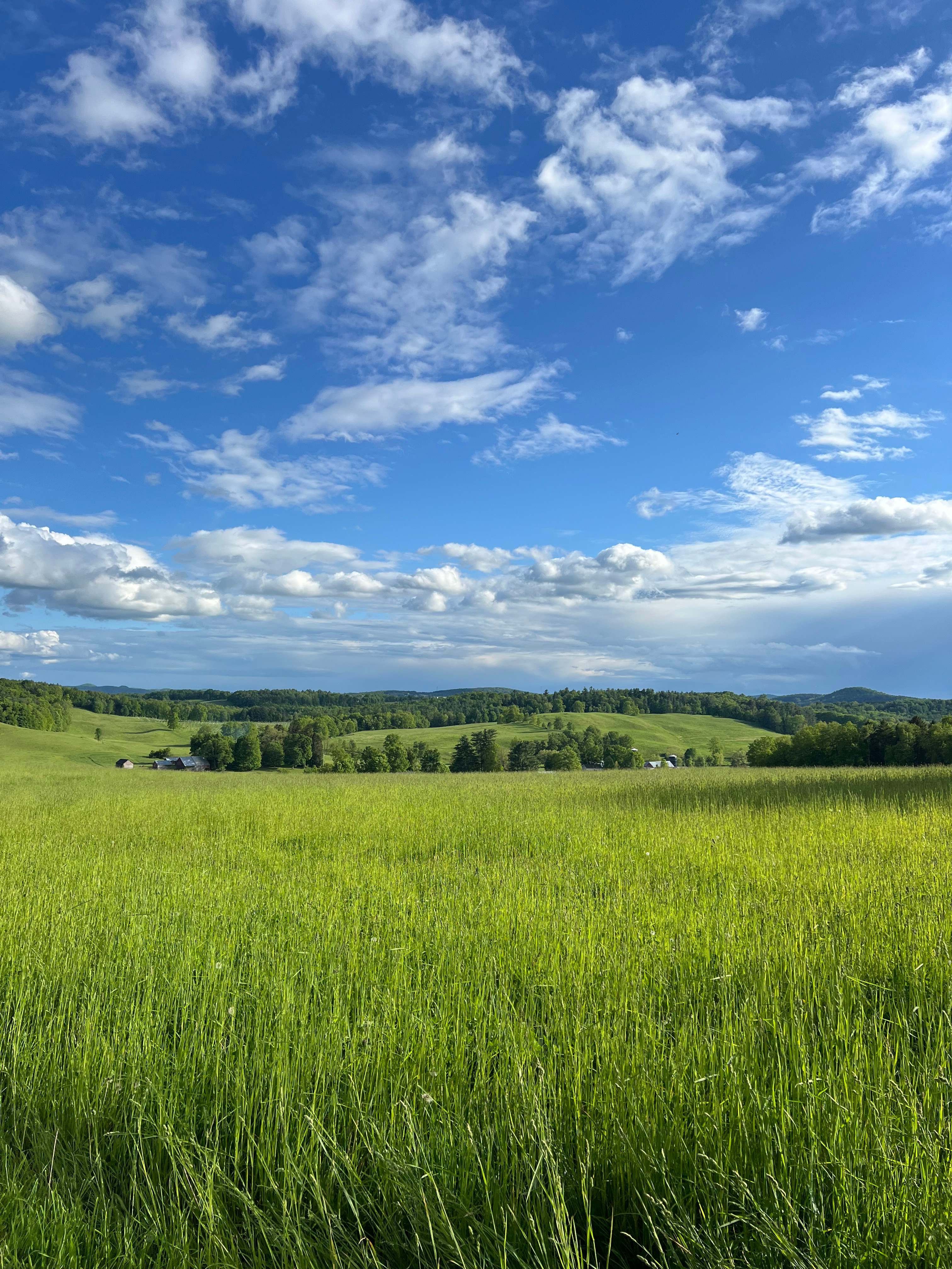Graceful Acres Farmstay