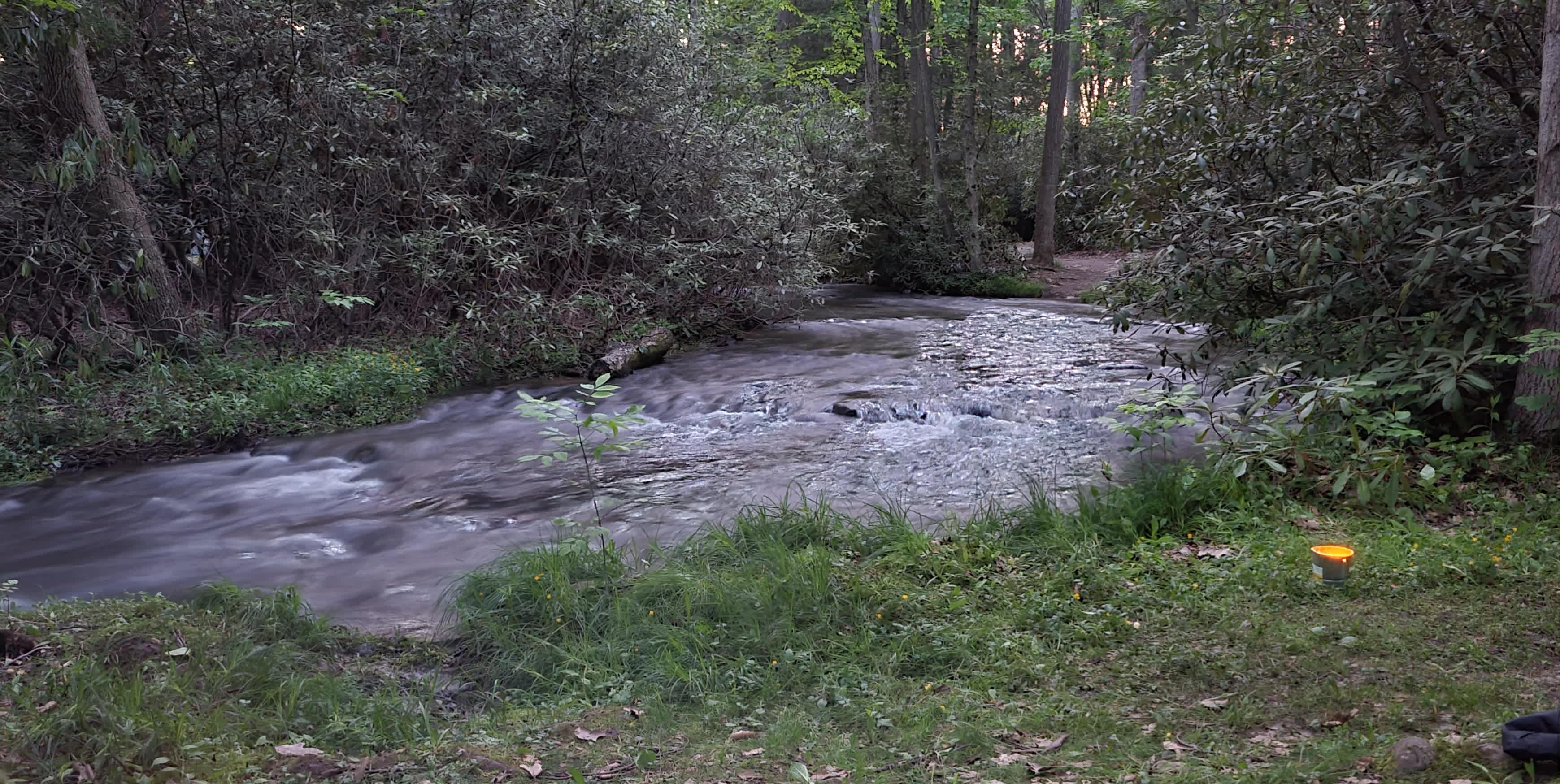 Bald Eagle Campsite