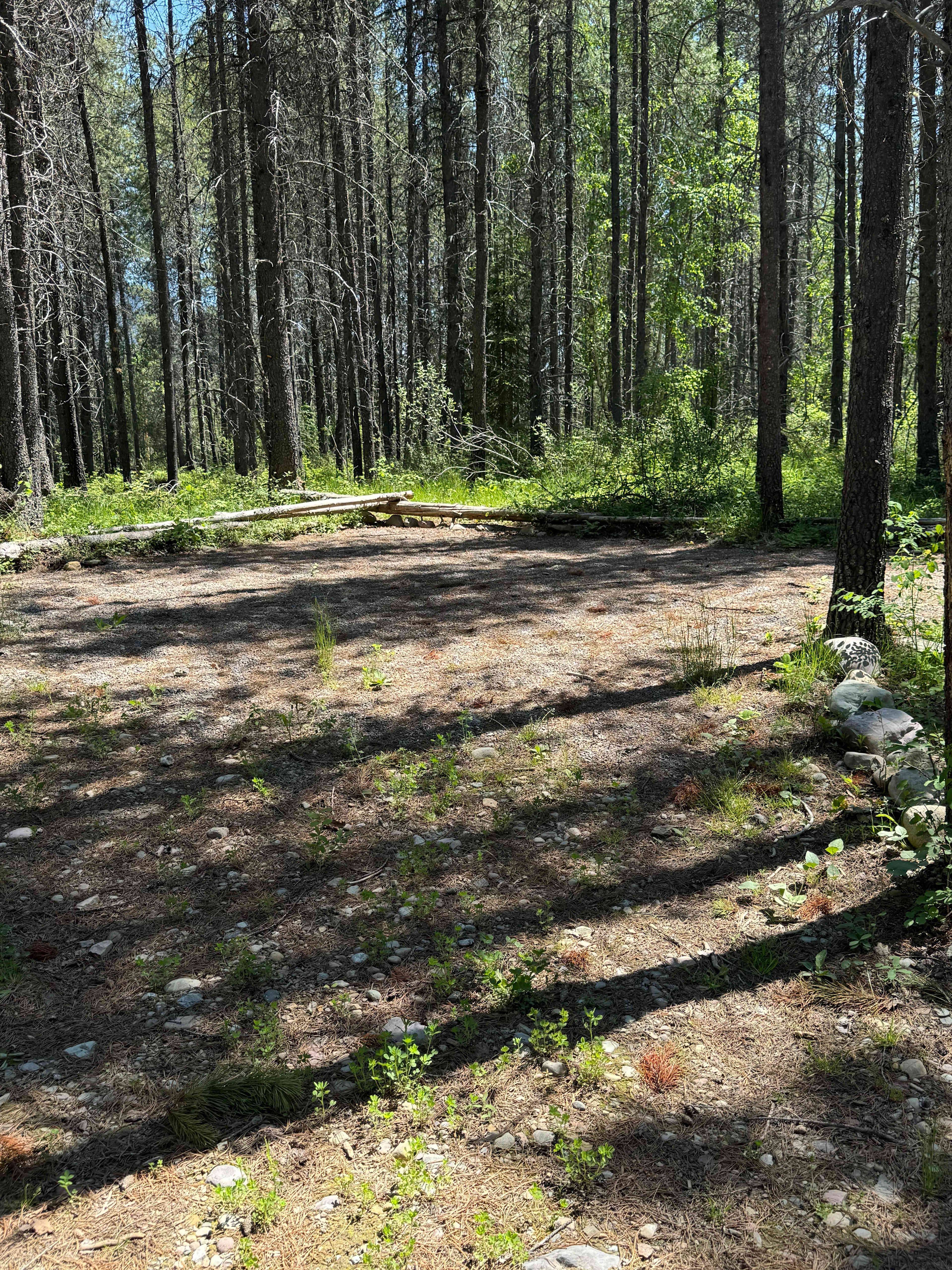 This is the actual site. 