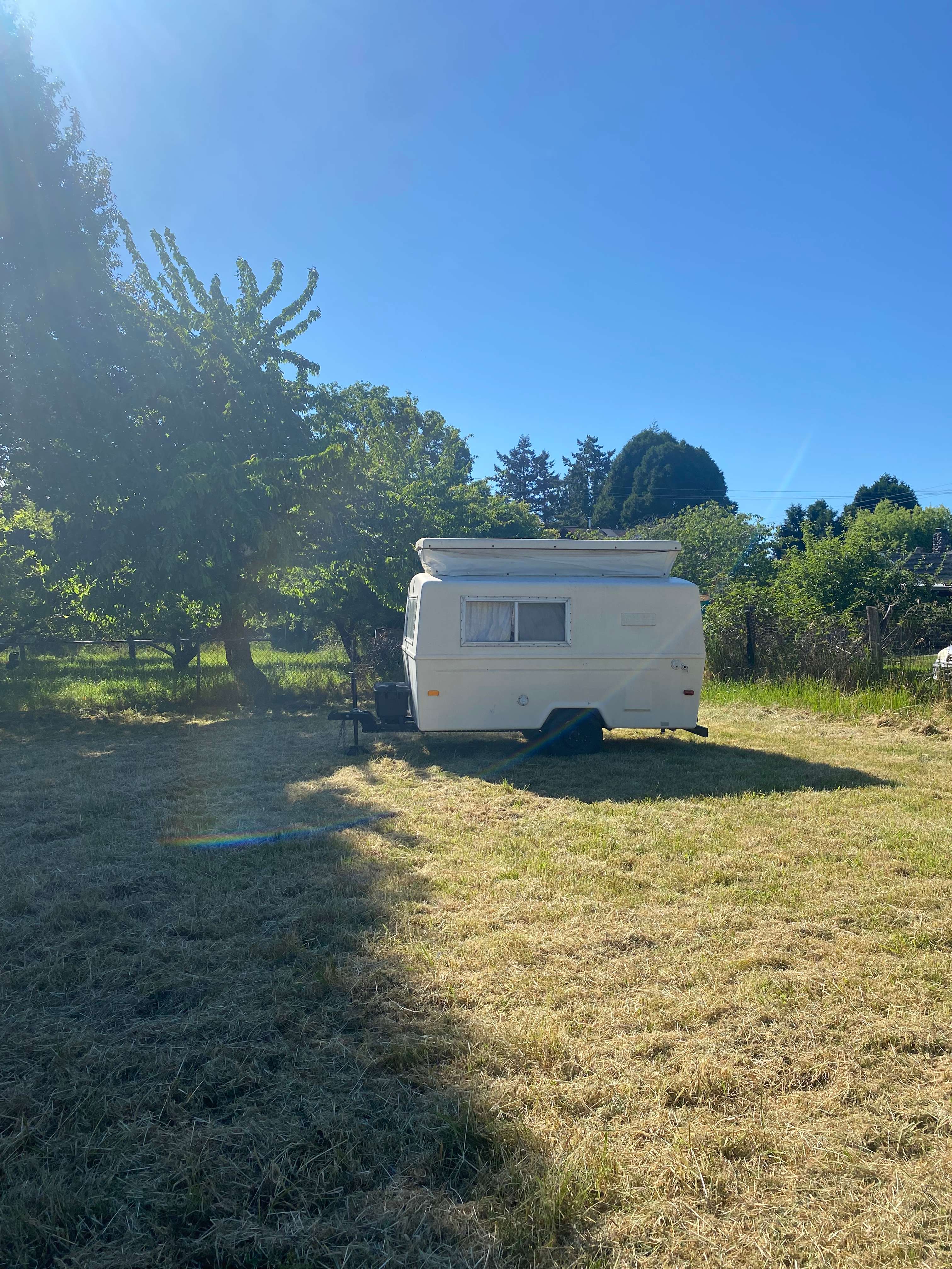 River Song Camp