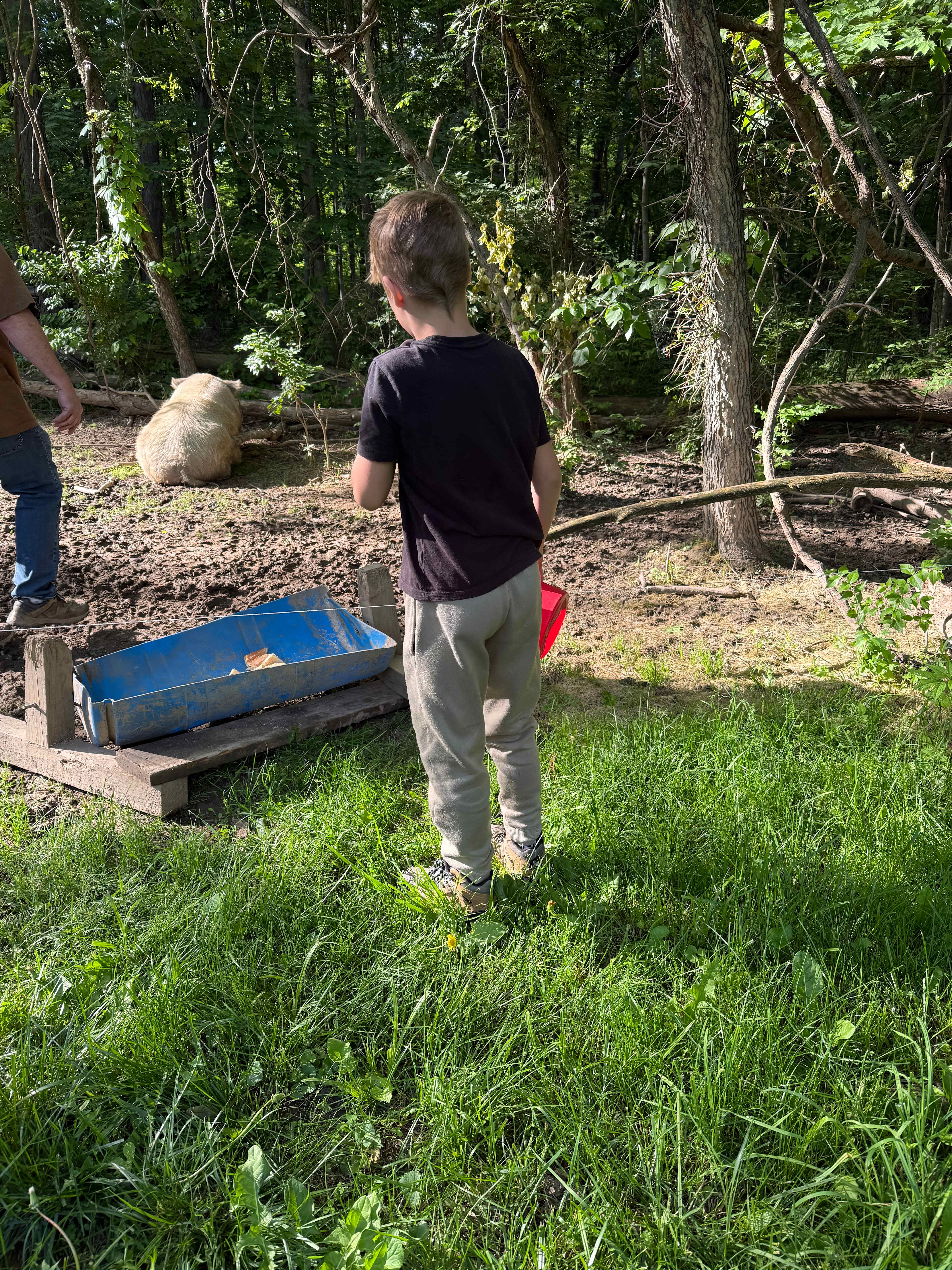 Geo-dome Glamping