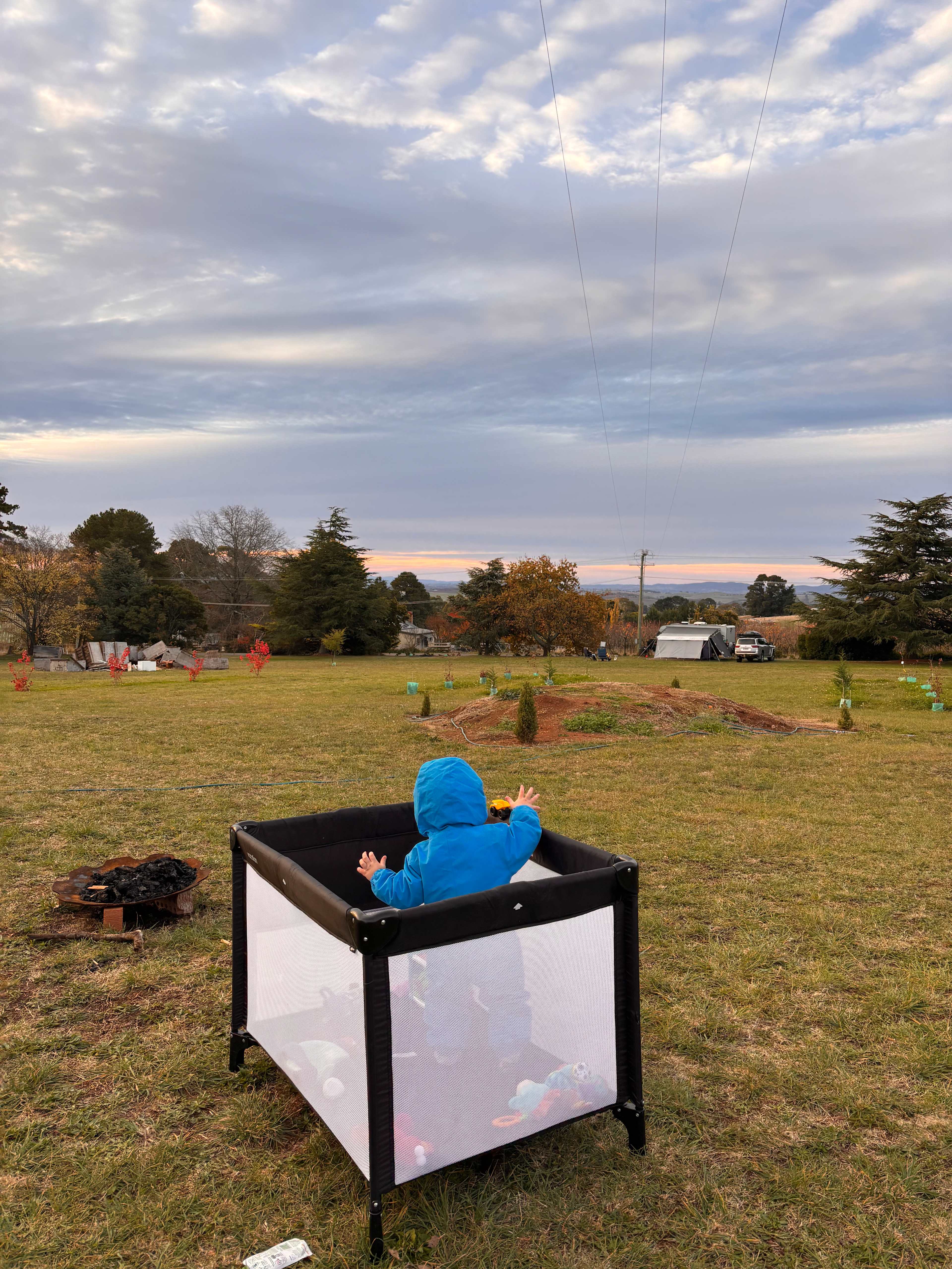 The Orchard