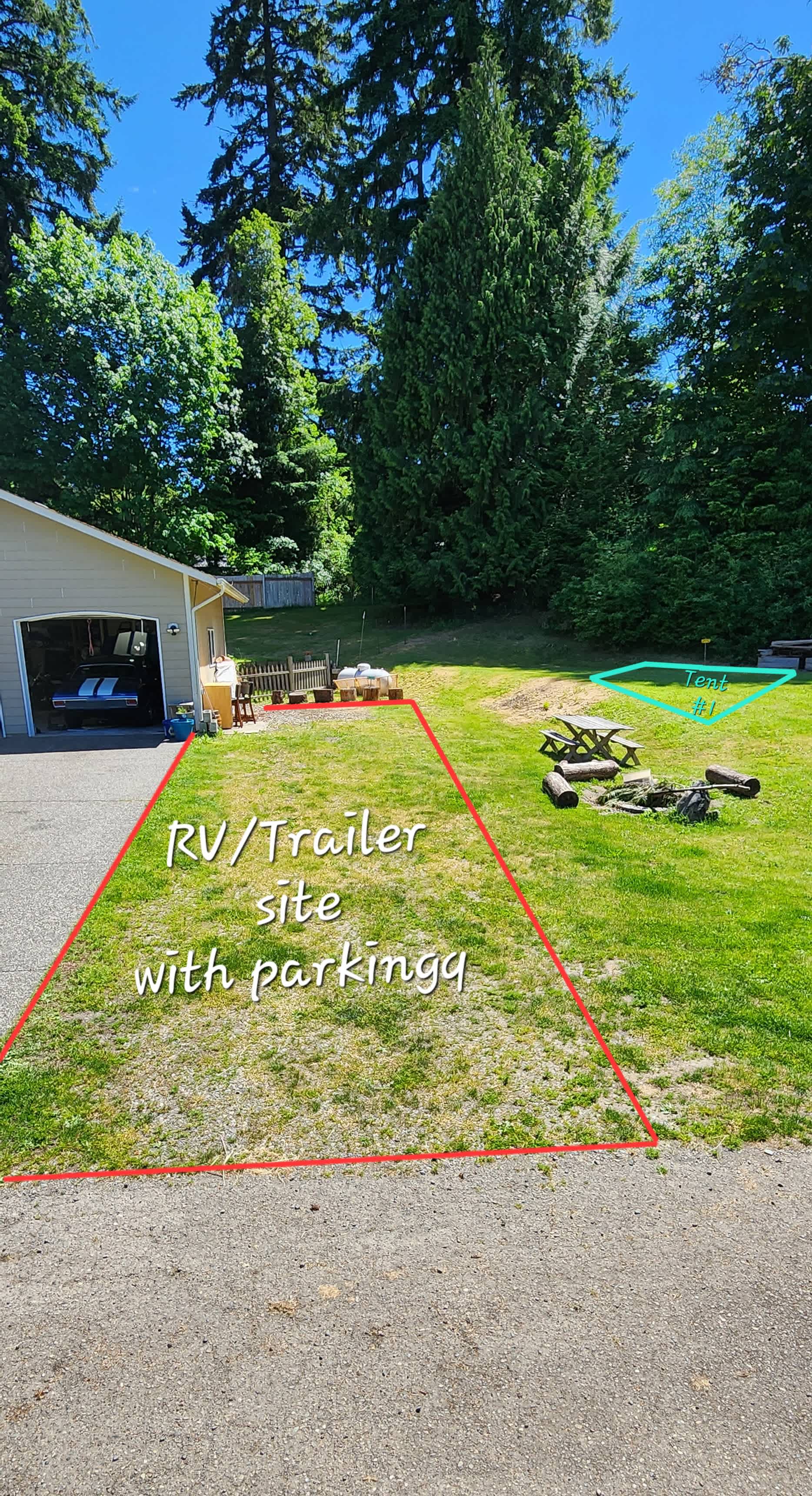 Picture of the site
