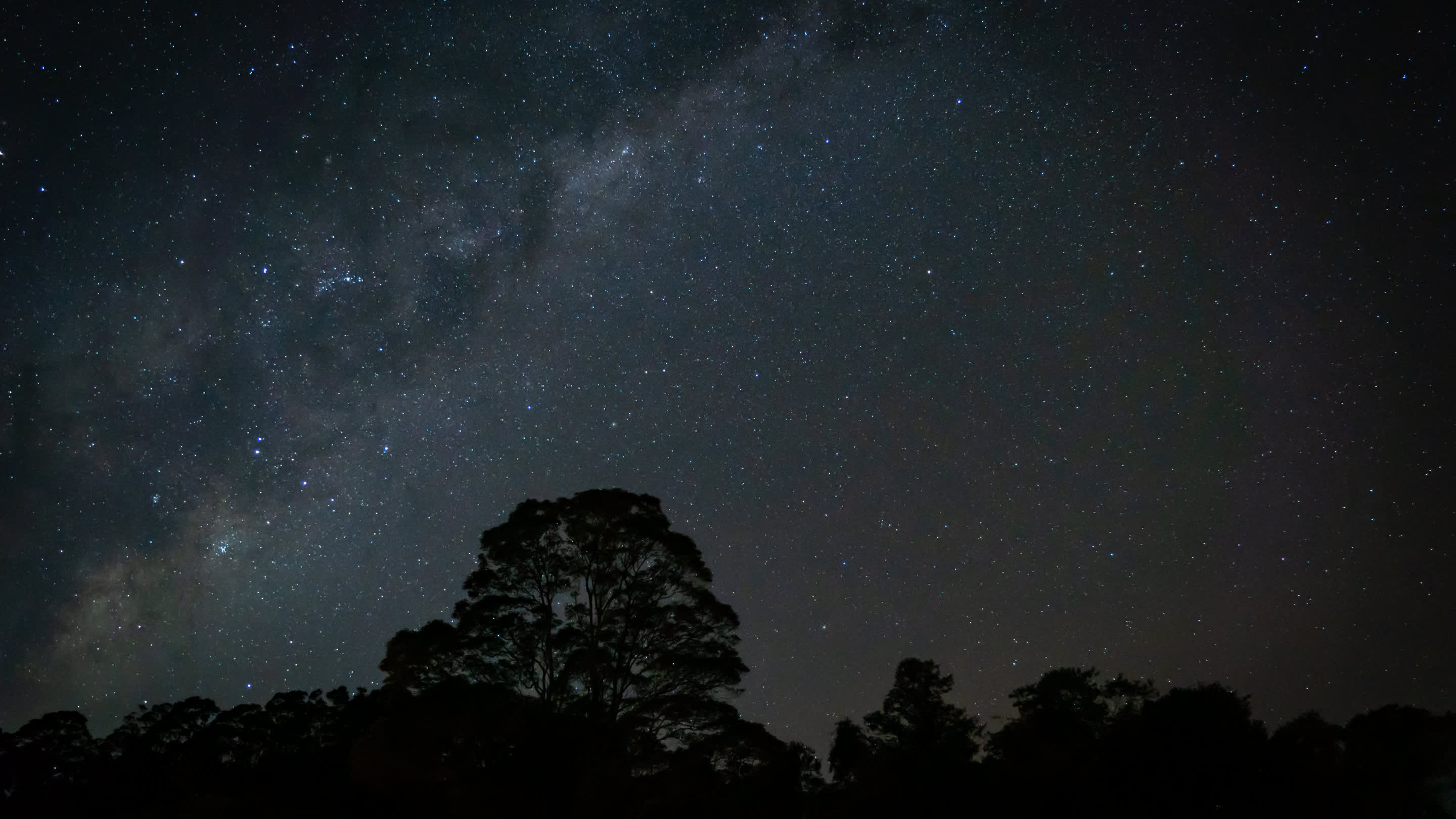 Stars from Bloodwood Campsite 