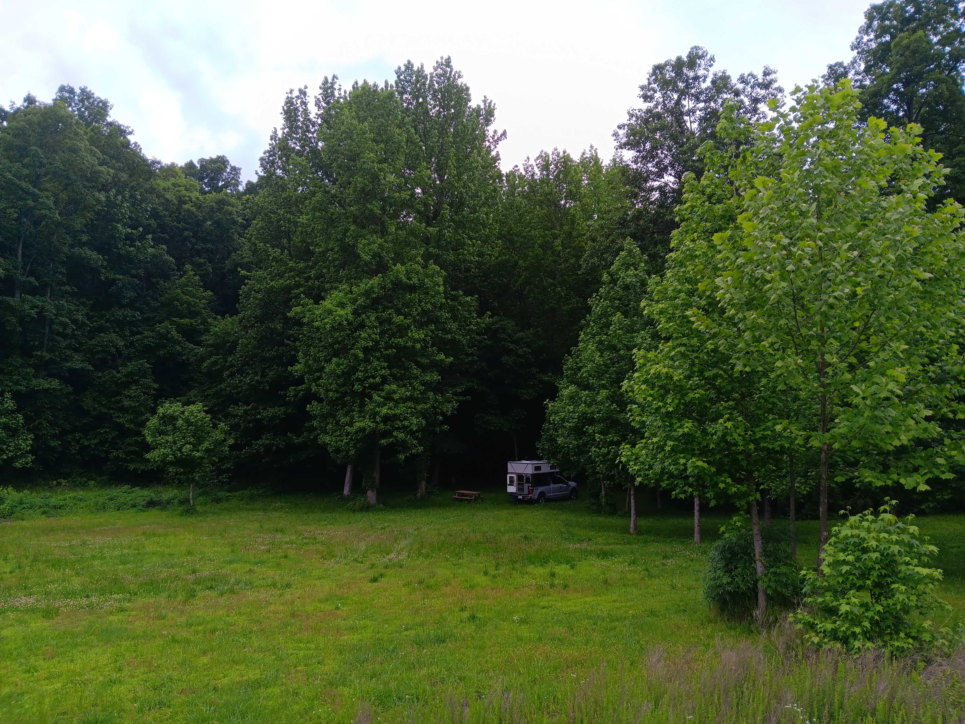 Robyn M.’s Land