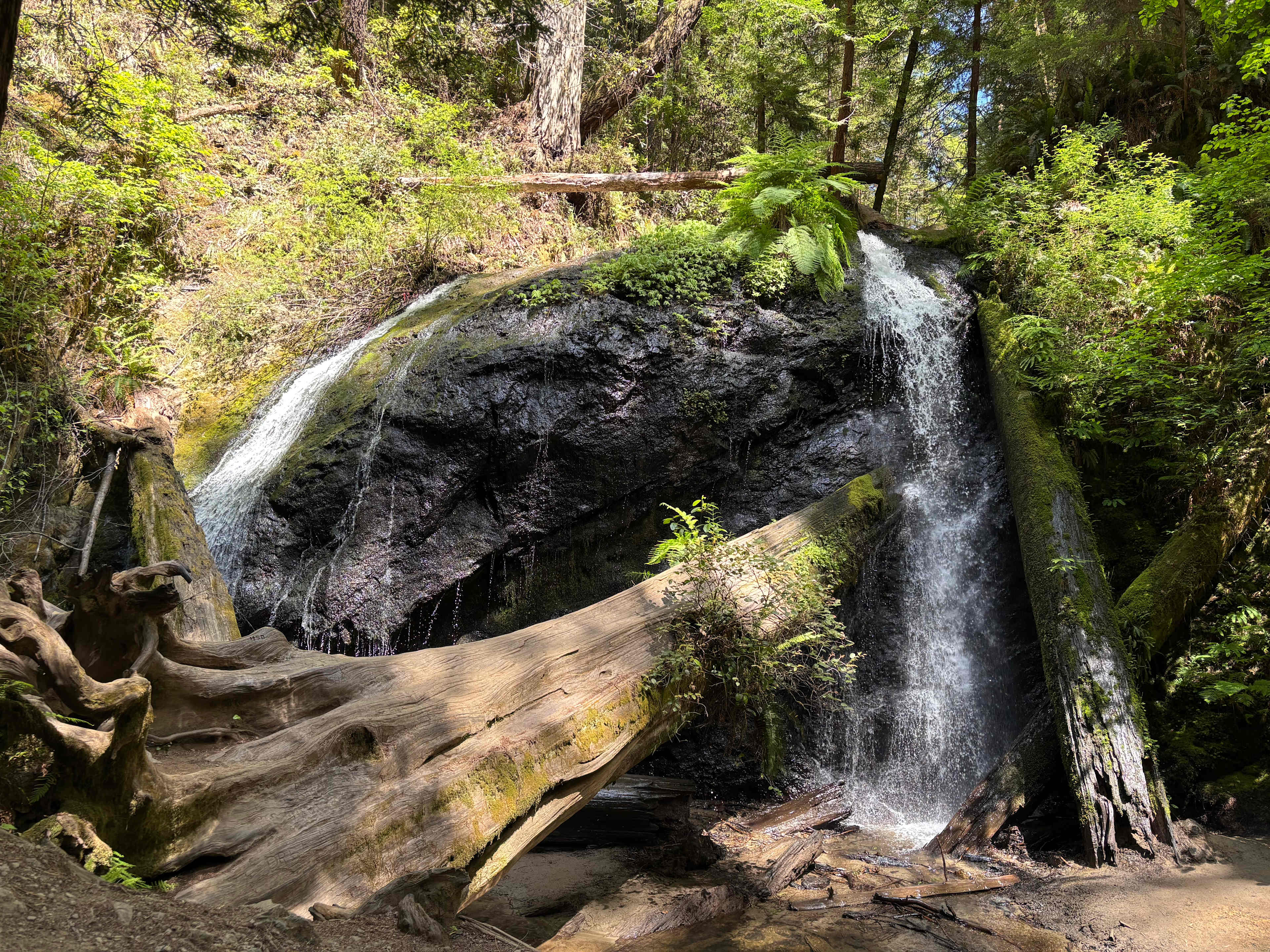 Waterfall Camp
