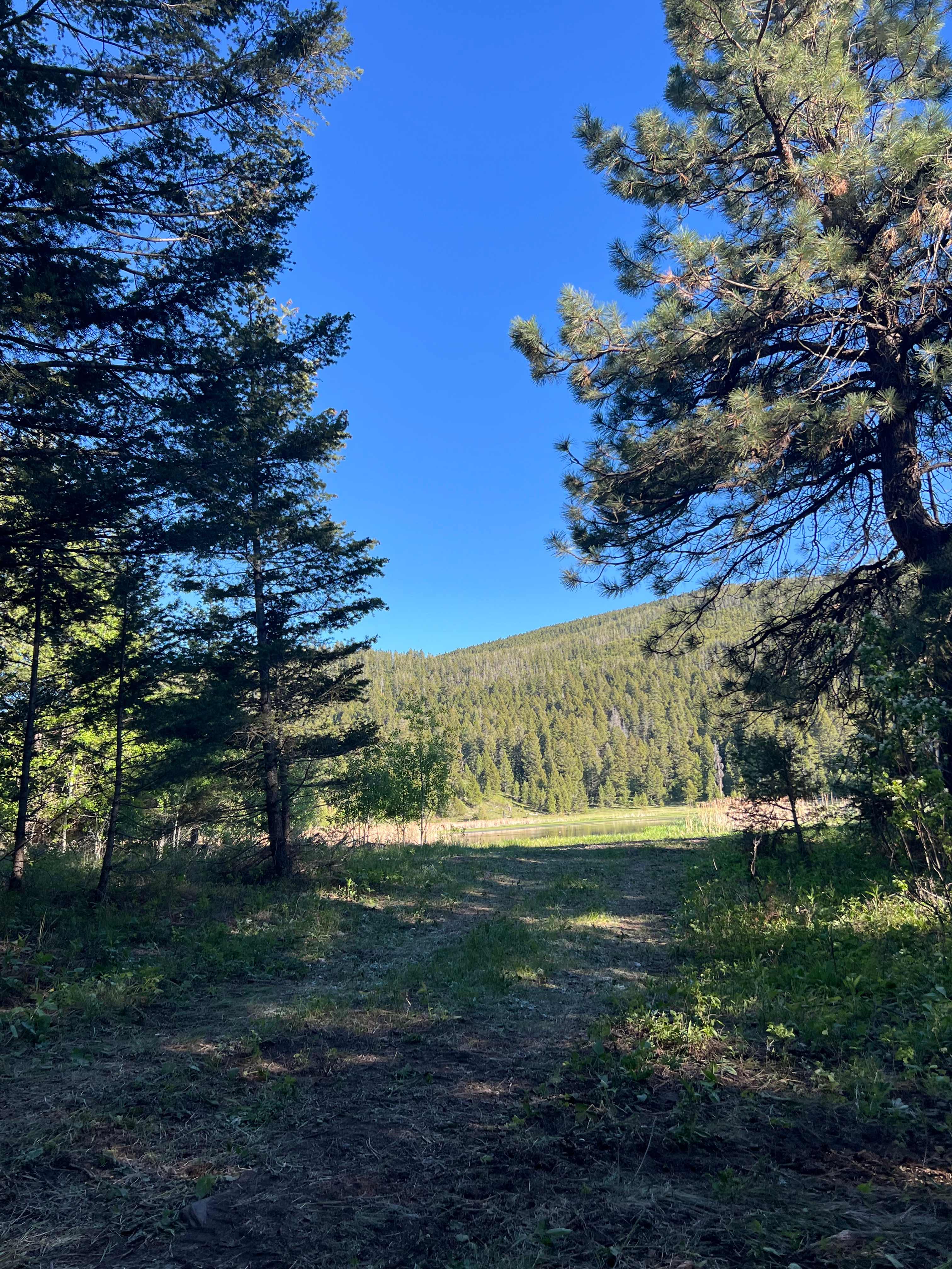 Mile High Mountain Homestead
