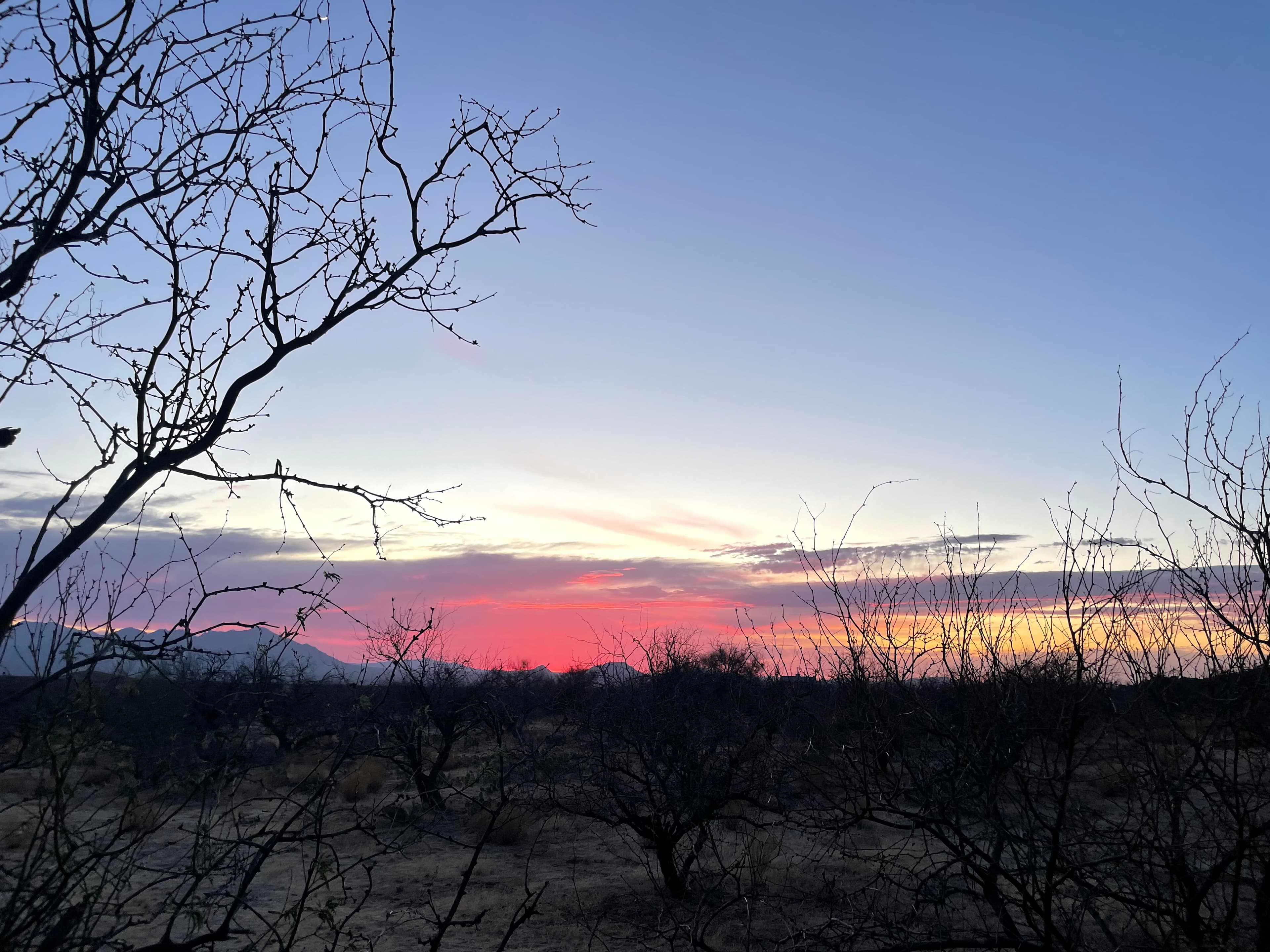 Epic Private 300 Acre Saguaro Park